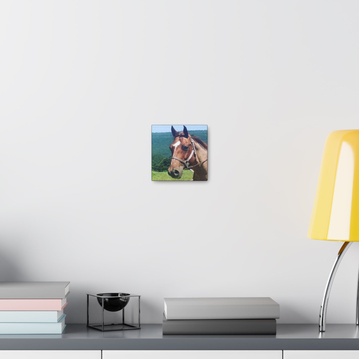 Canvas Gallery Wrap - Thor - Photo