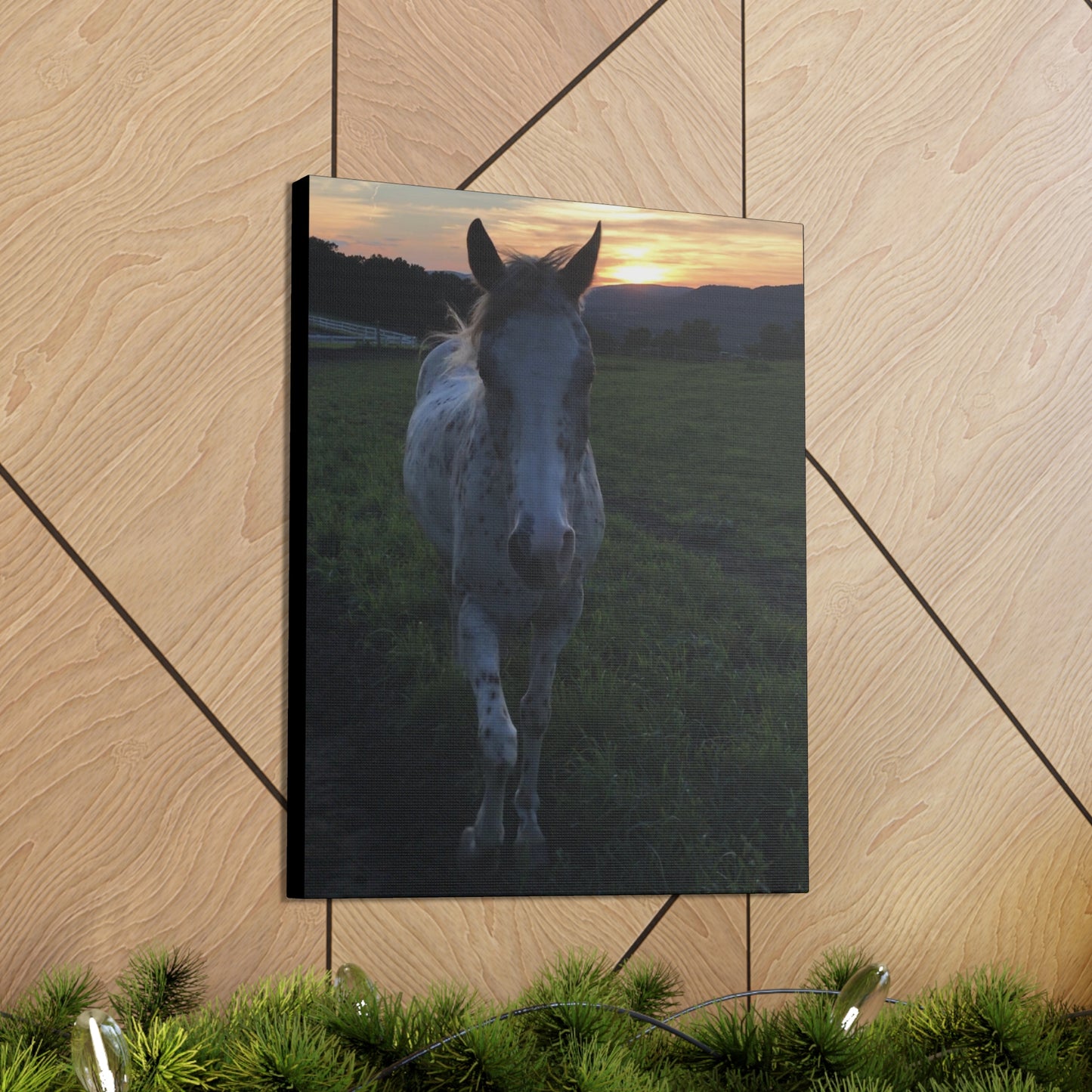 Canvas Gallery Wrap - Cochise - Photo