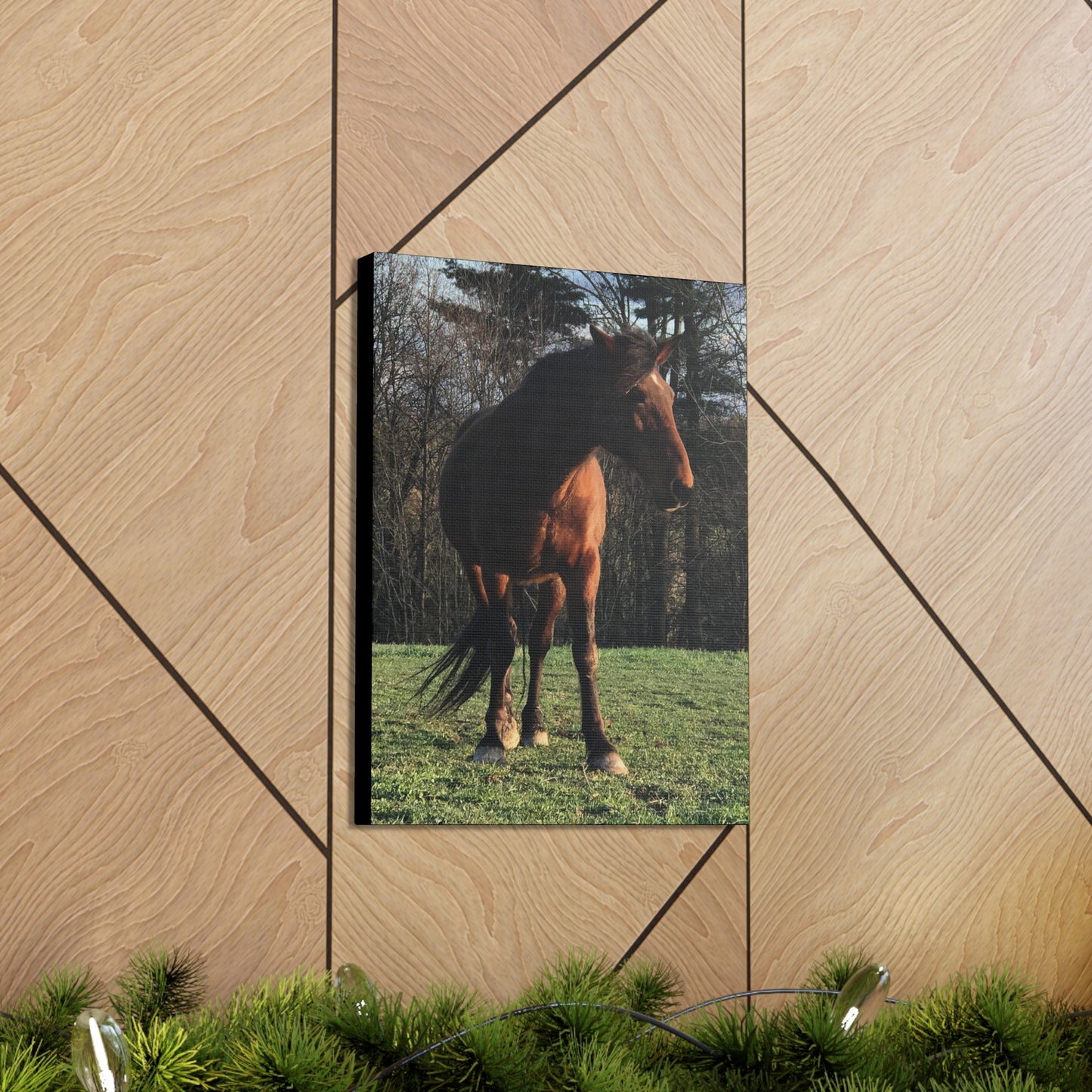 Canvas Gallery Wrap - Kiowa - Photo