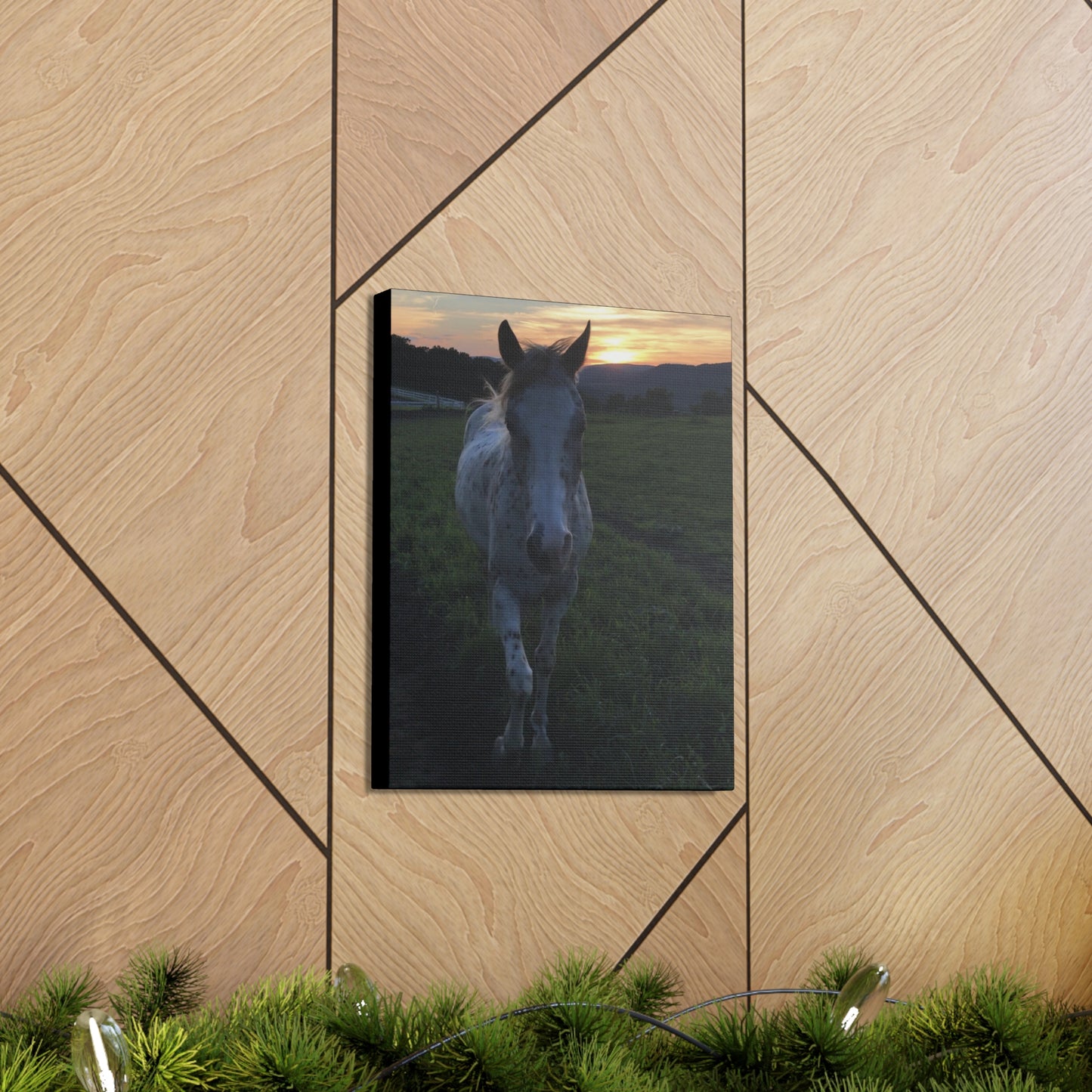 Canvas Gallery Wrap - Cochise - Photo