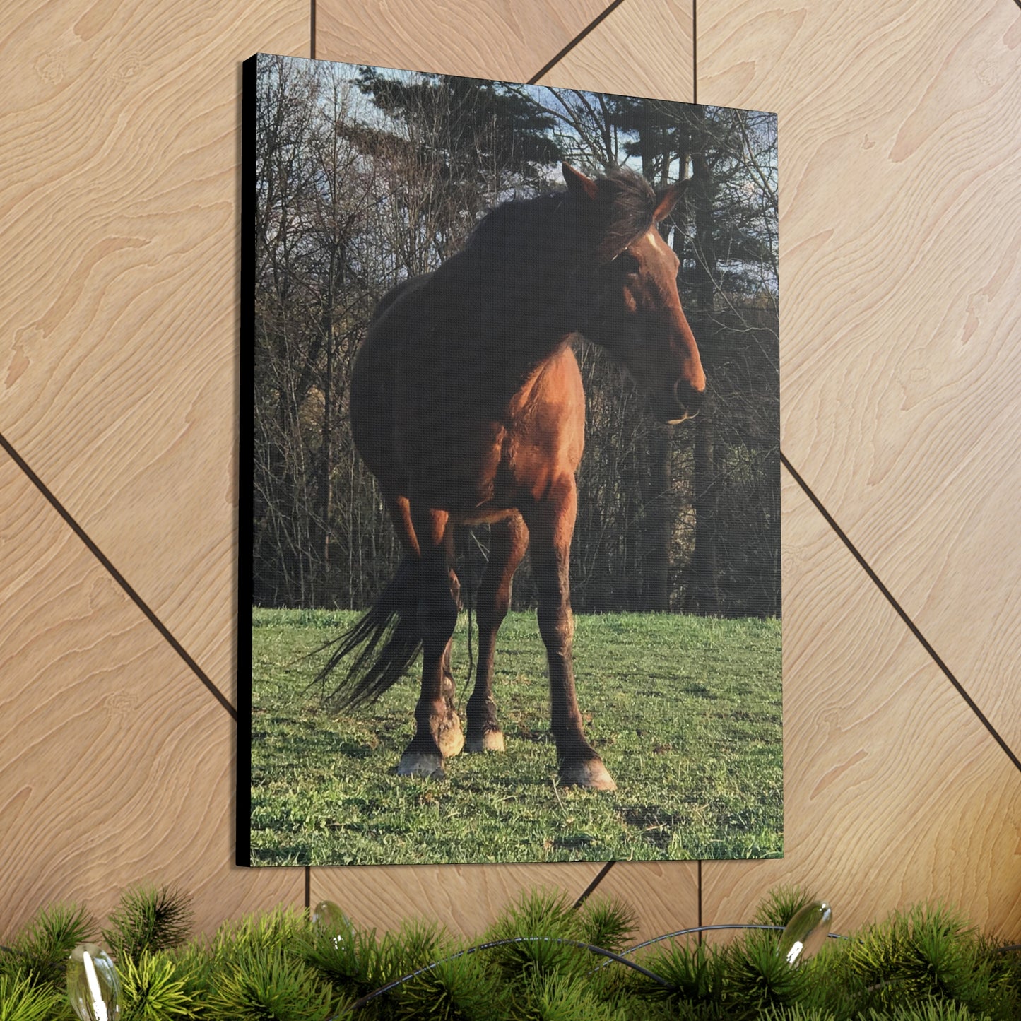 Canvas Gallery Wrap - Kiowa - Photo