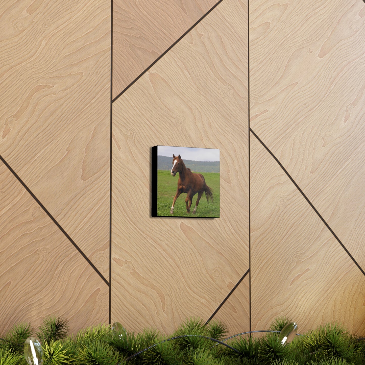 Canvas Gallery Wrap - Redwood - Photo