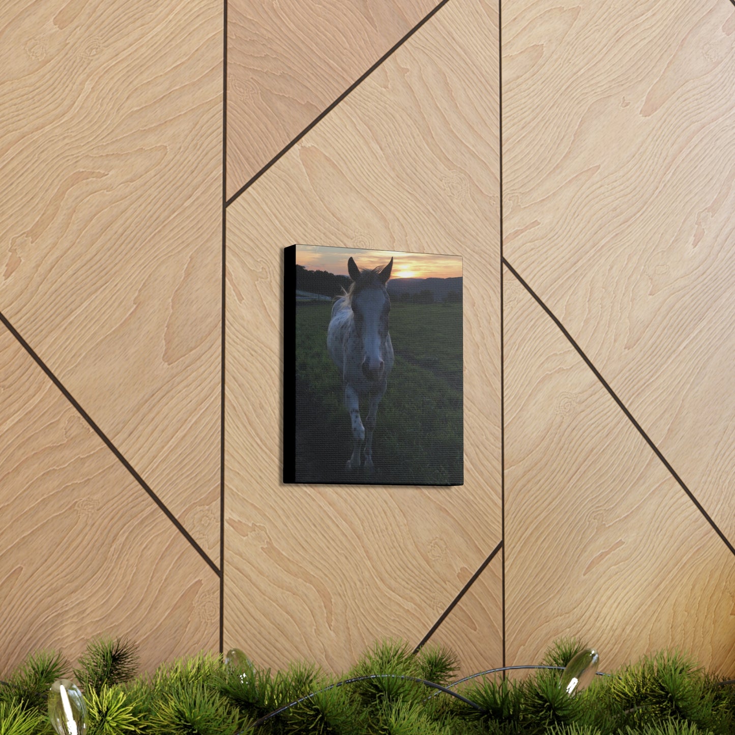 Canvas Gallery Wrap - Cochise - Photo