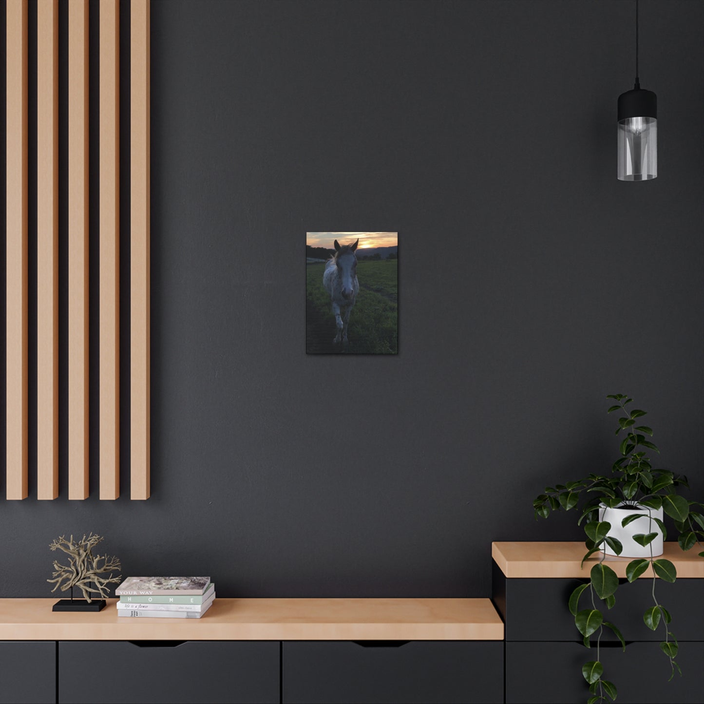 Canvas Gallery Wrap - Cochise - Photo