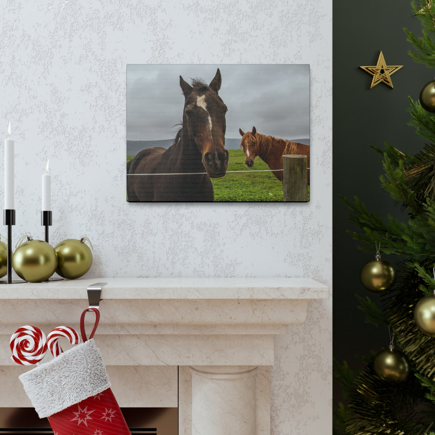 Canvas Gallery Wrap - Denali and Takota - Photo