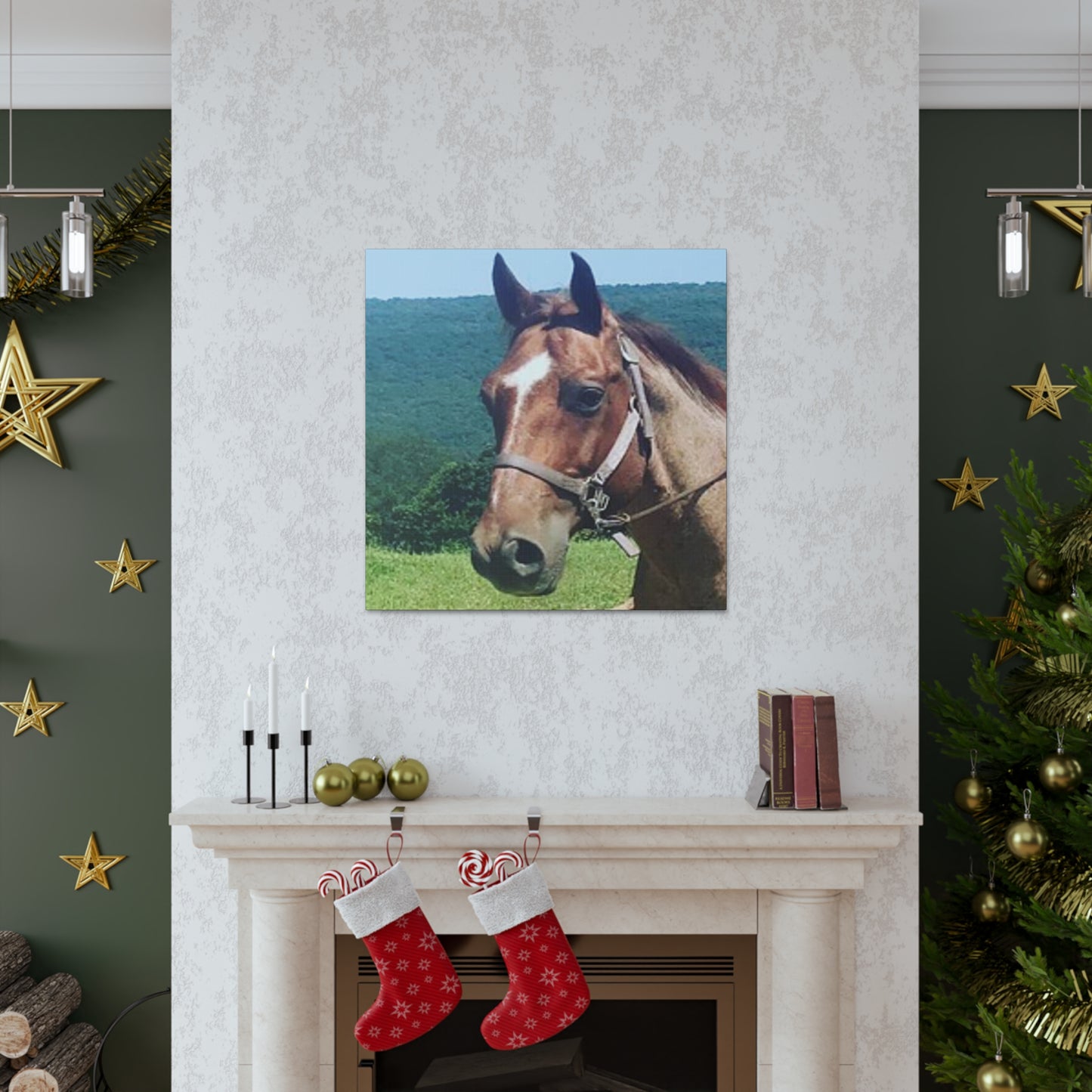Canvas Gallery Wrap - Thor - Photo