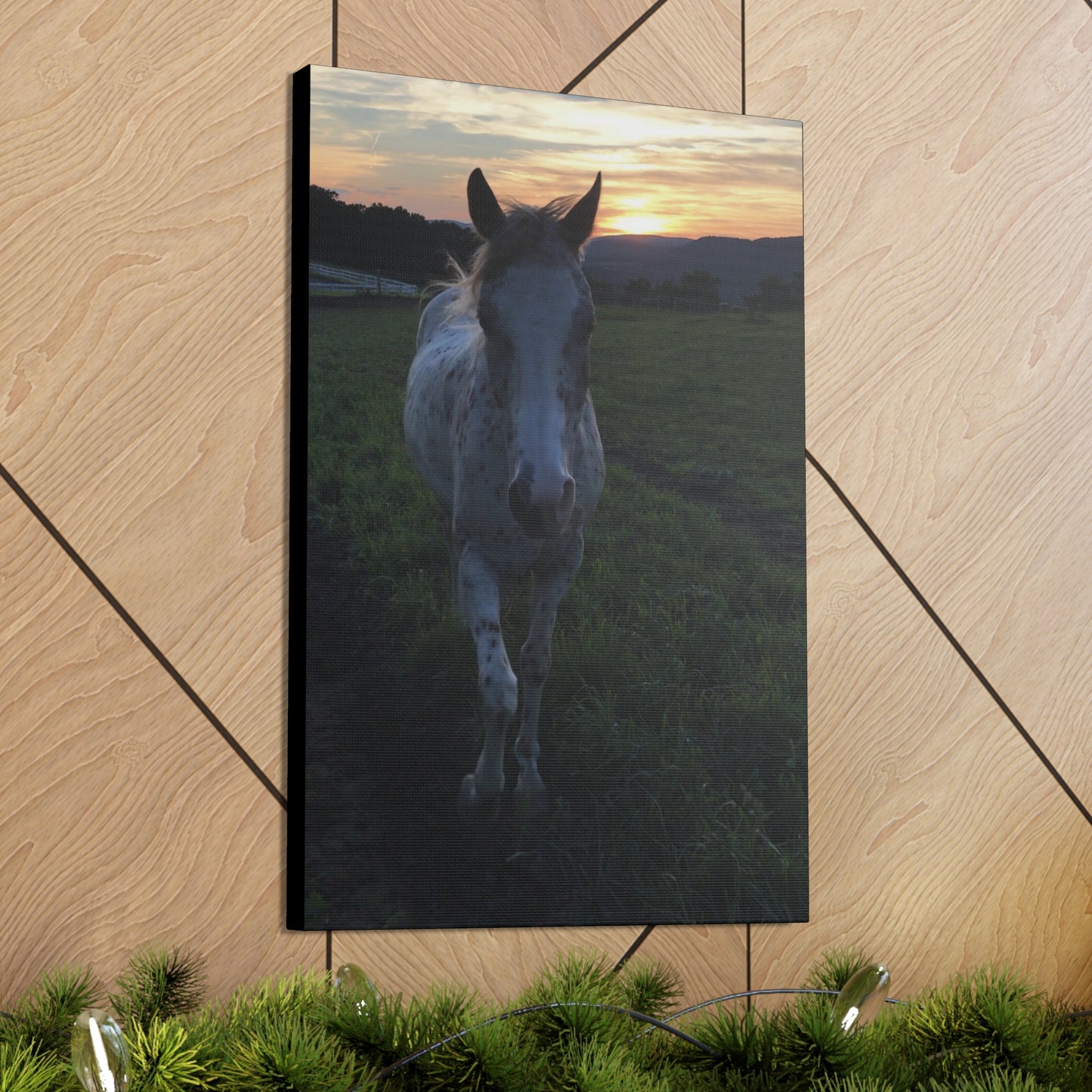 Canvas Gallery Wrap - Cochise - Photo