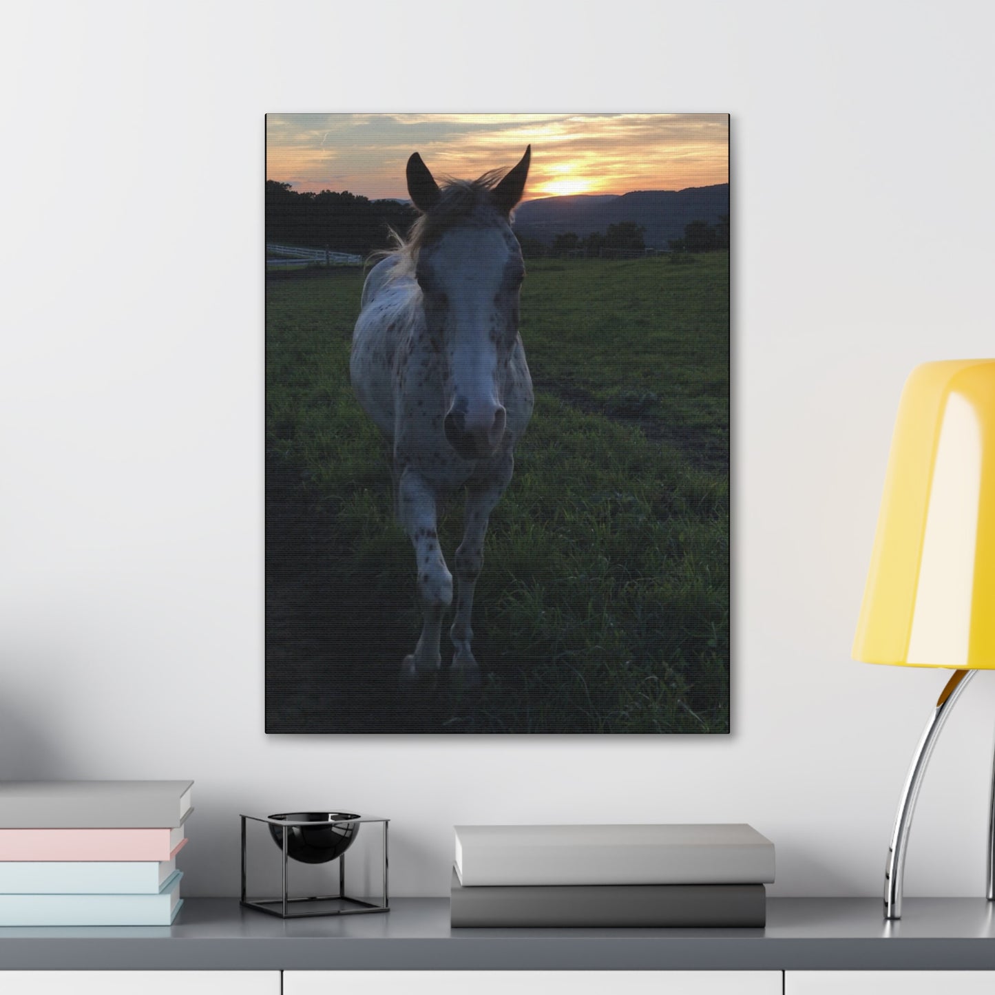 Canvas Gallery Wrap - Cochise - Photo