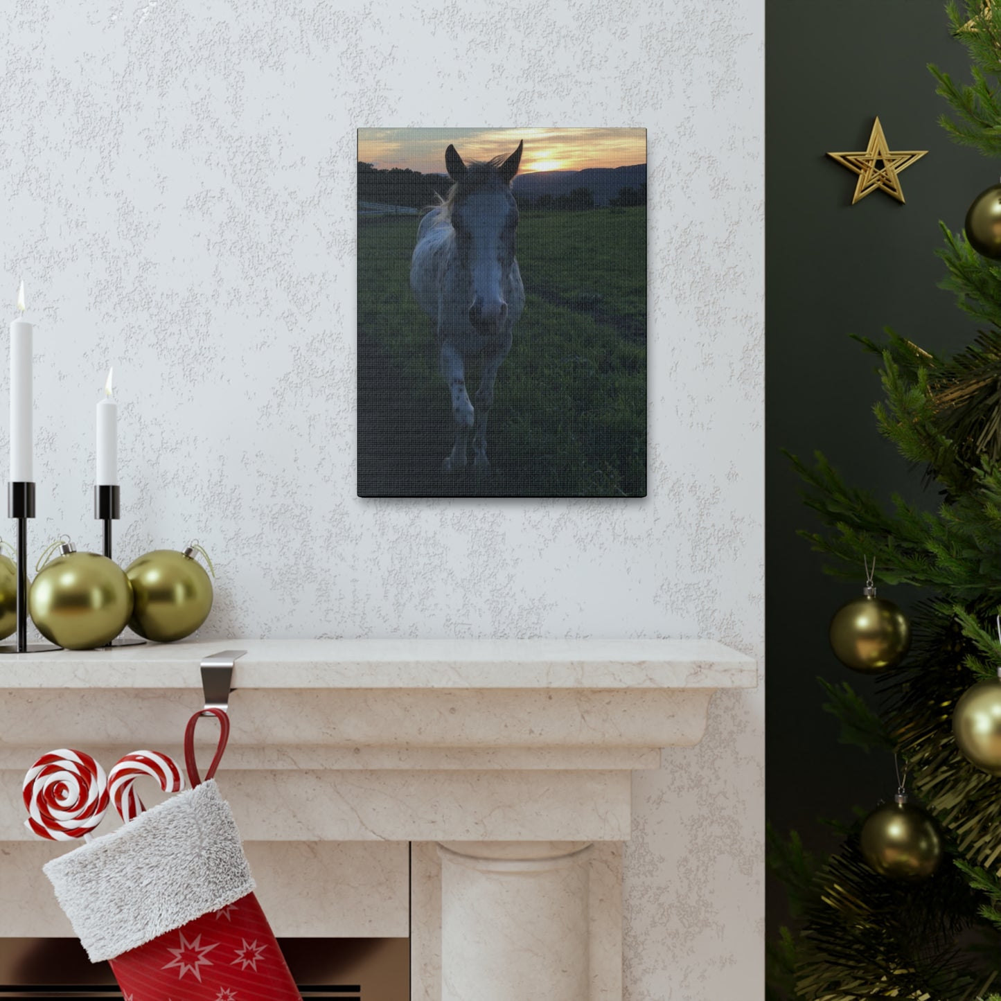Canvas Gallery Wrap - Cochise - Photo