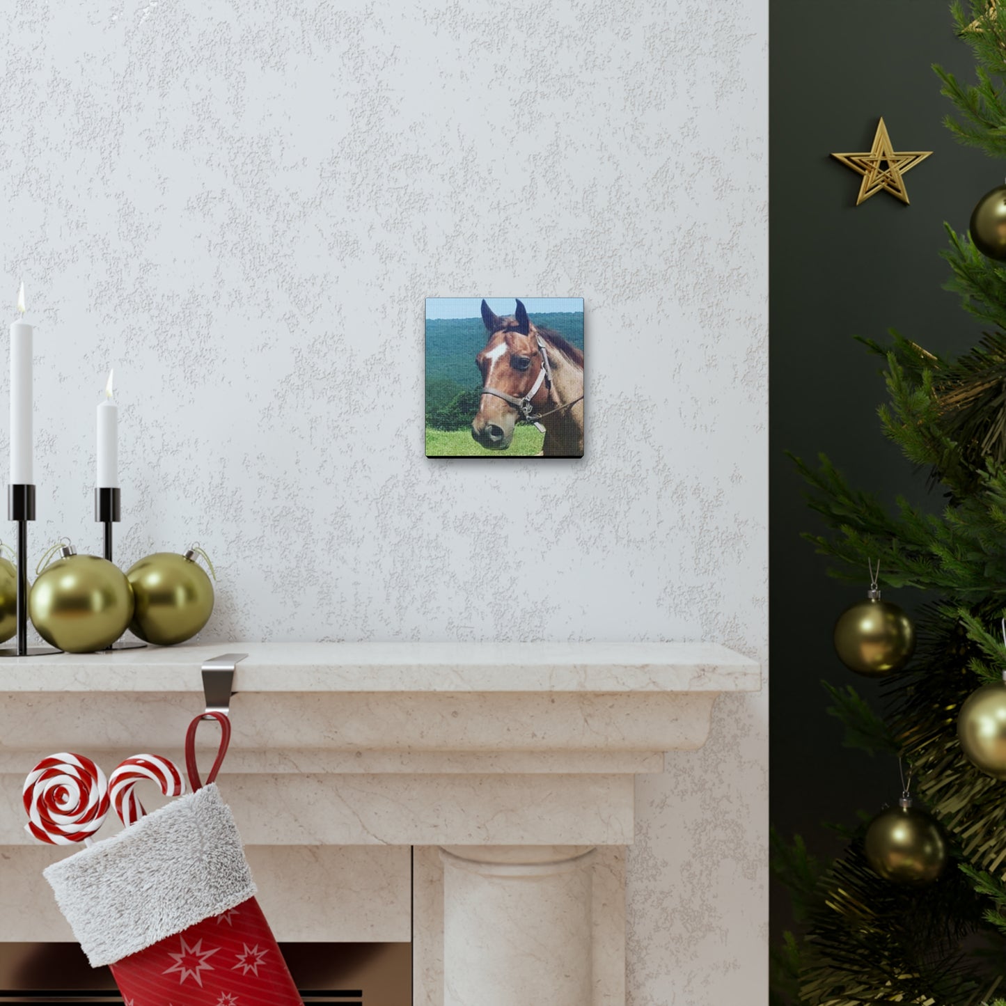 Canvas Gallery Wrap - Thor - Photo
