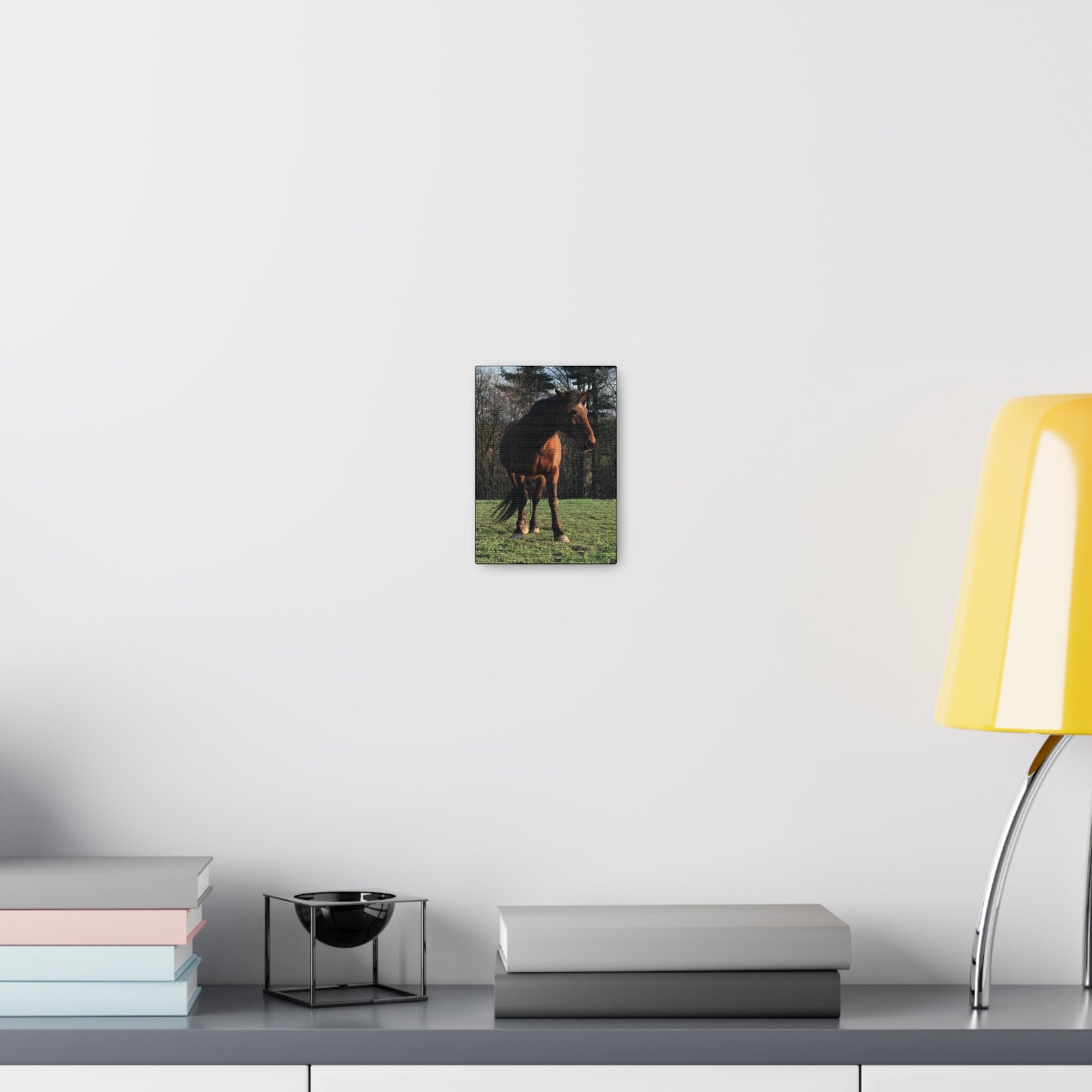 Canvas Gallery Wrap - Kiowa - Photo