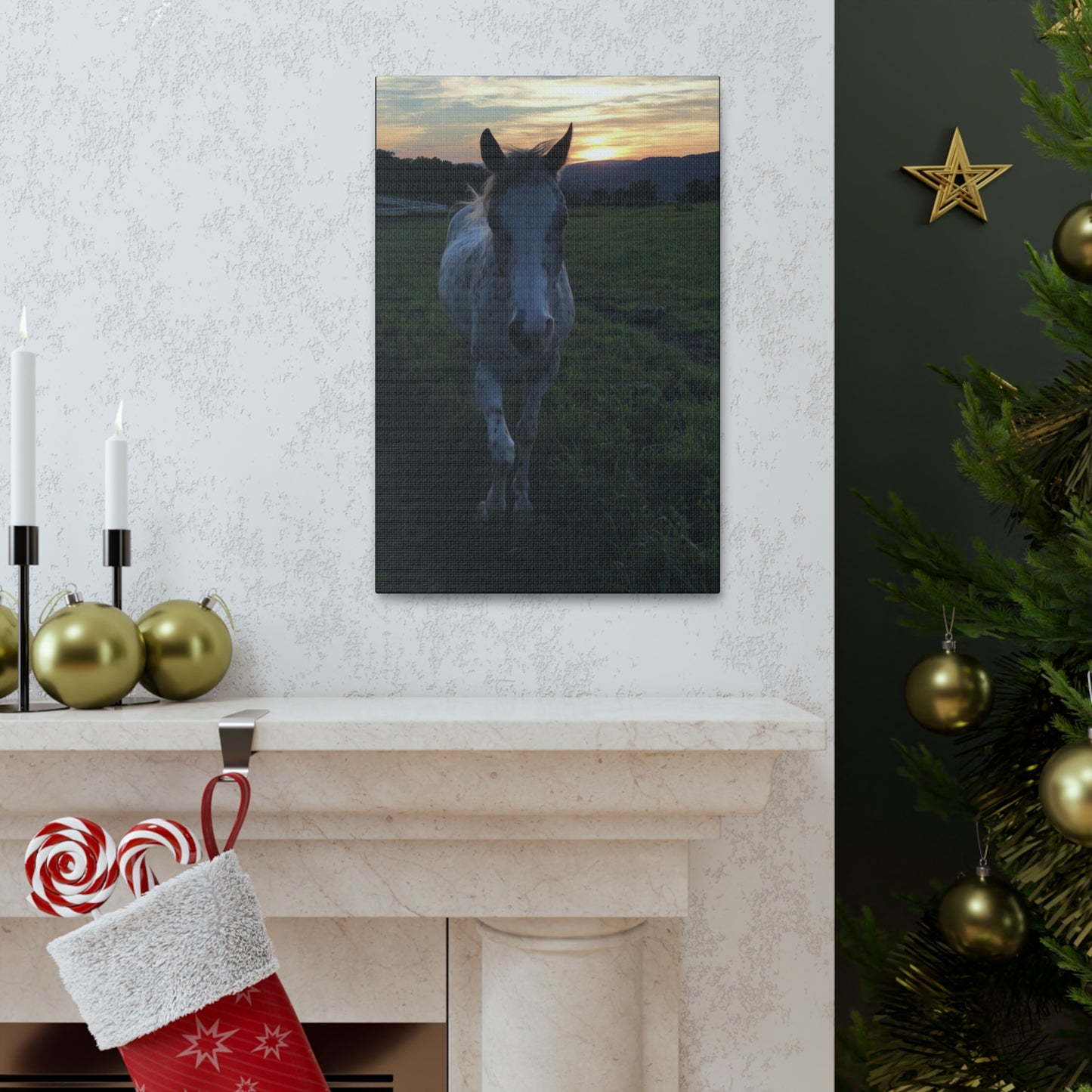 Canvas Gallery Wrap - Cochise - Photo