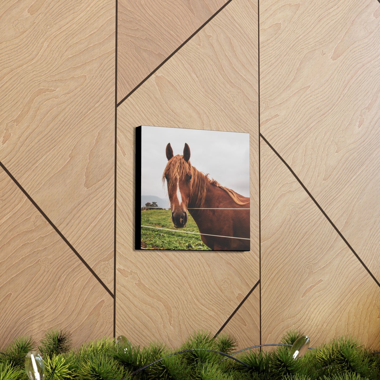 Canvas Gallery Wrap - Takota - Photo