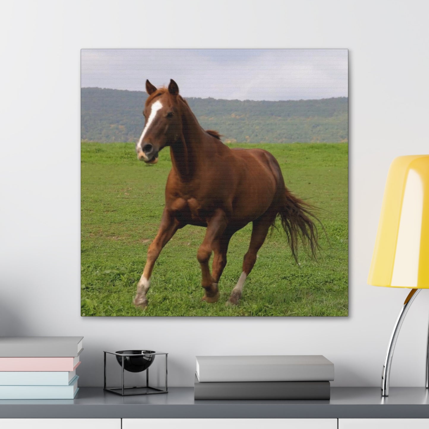 Canvas Gallery Wrap - Redwood - Photo