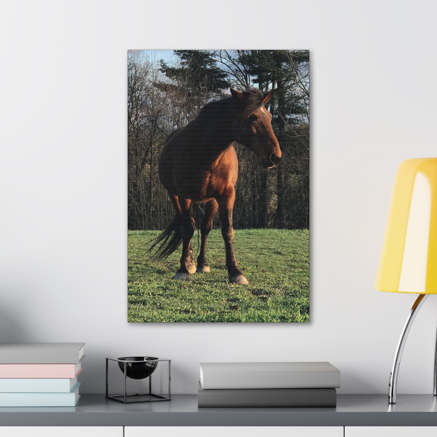 Canvas Gallery Wrap - Kiowa - Photo