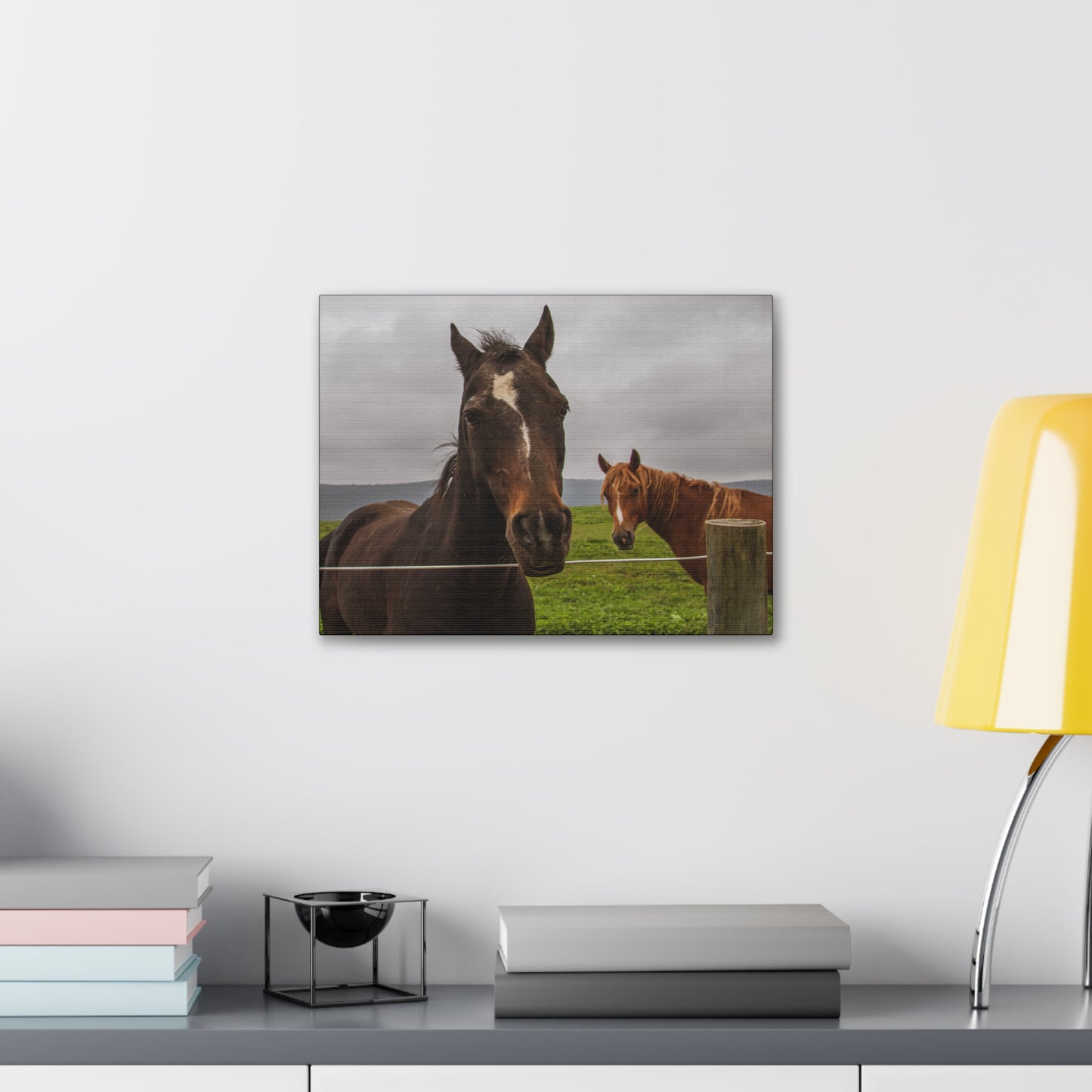 Canvas Gallery Wrap - Denali and Takota - Photo