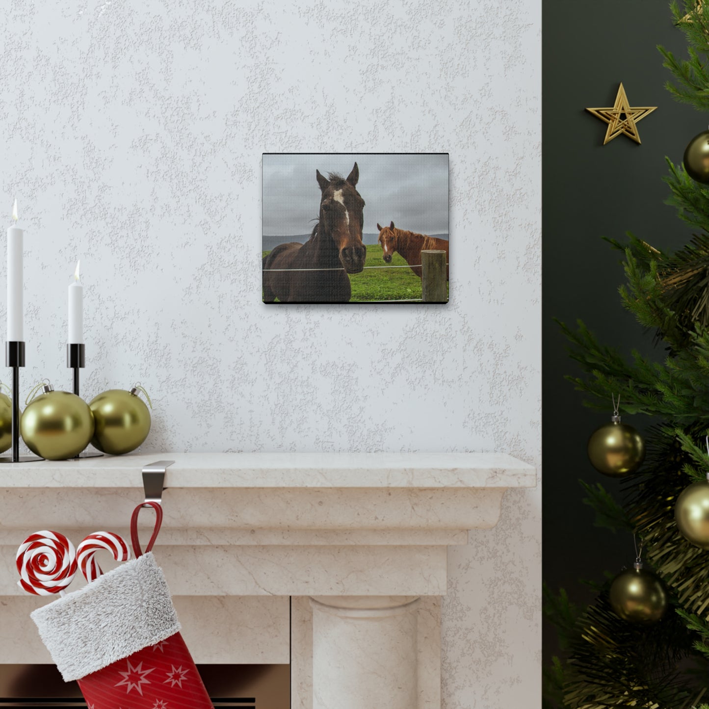 Canvas Gallery Wrap - Denali and Takota - Photo