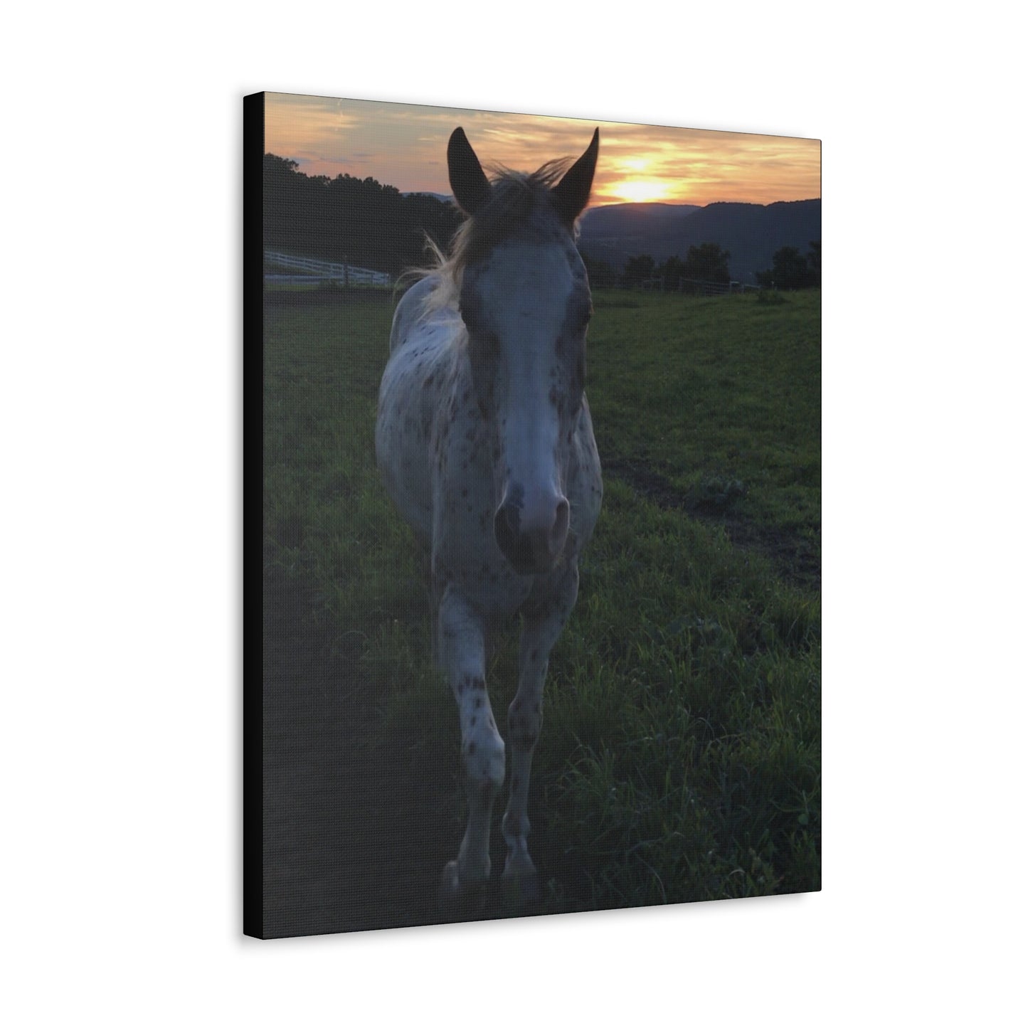 Canvas Gallery Wrap - Cochise - Photo