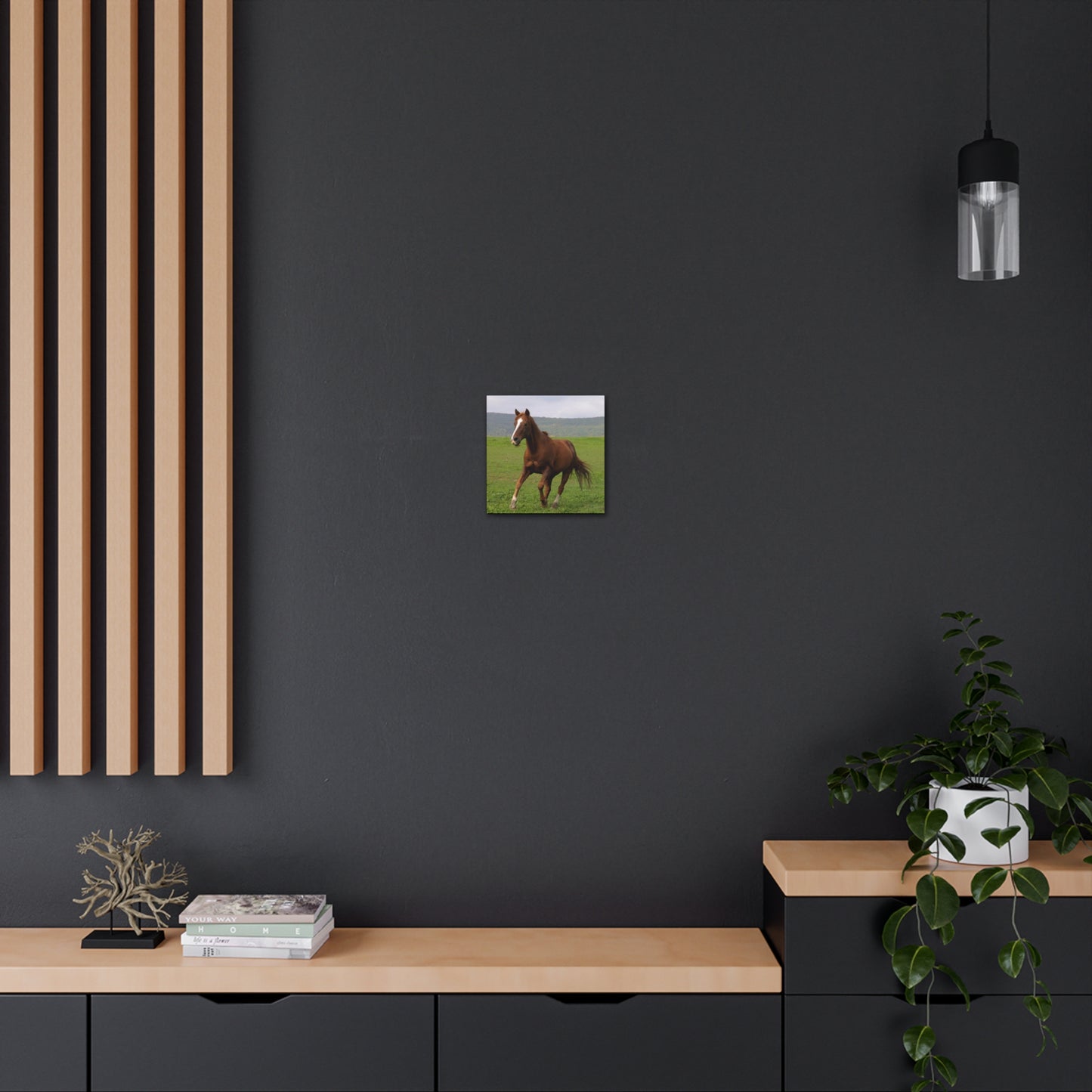Canvas Gallery Wrap - Redwood - Photo