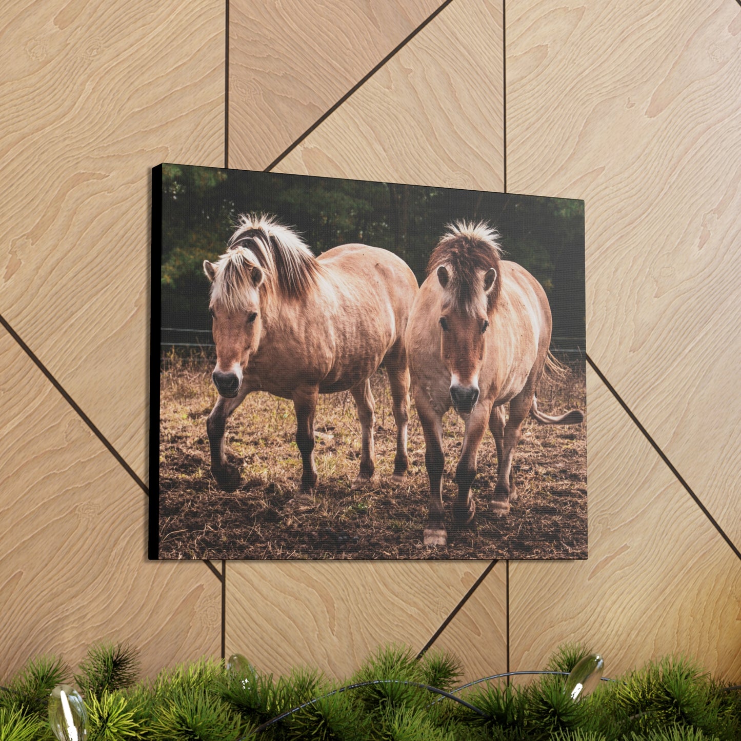 Canvas Gallery Wrap - Cody and Cheyenne - Photo