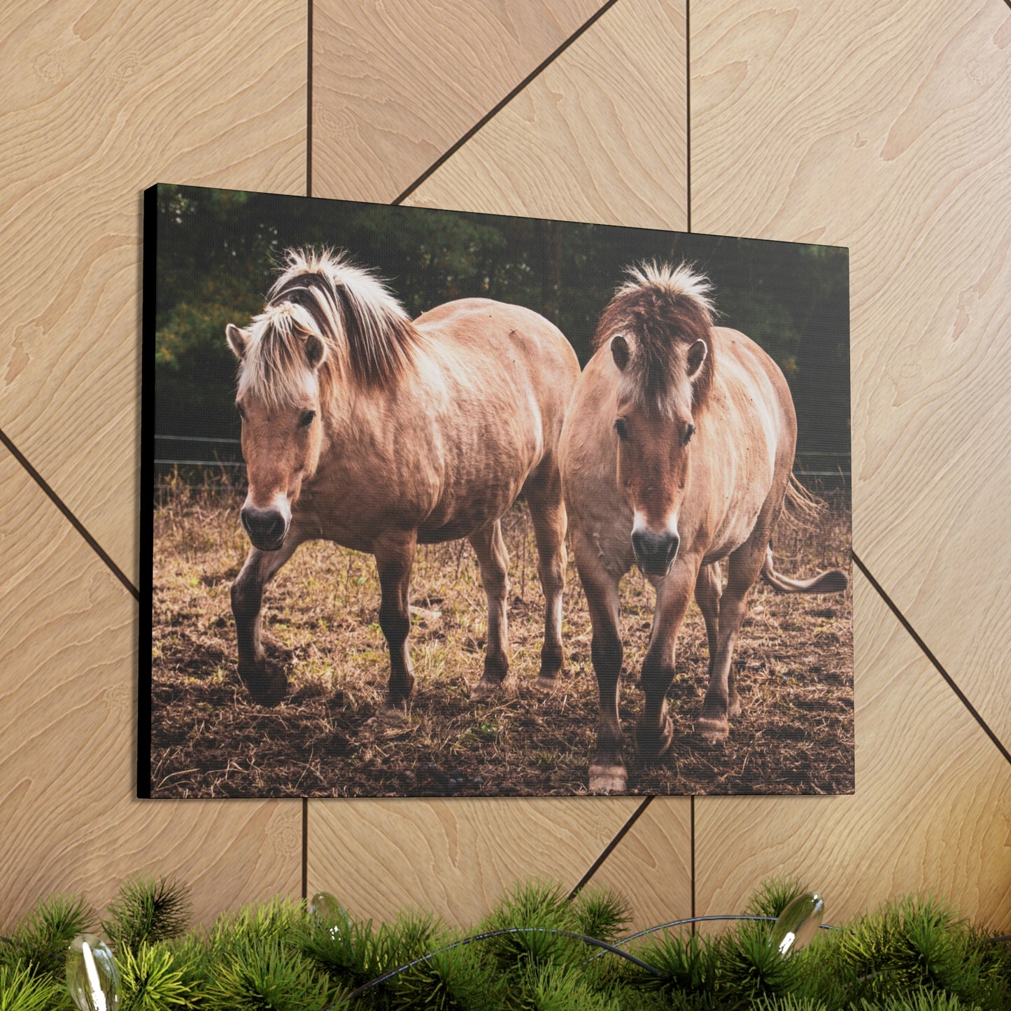 Canvas Gallery Wrap - Cody and Cheyenne - Photo