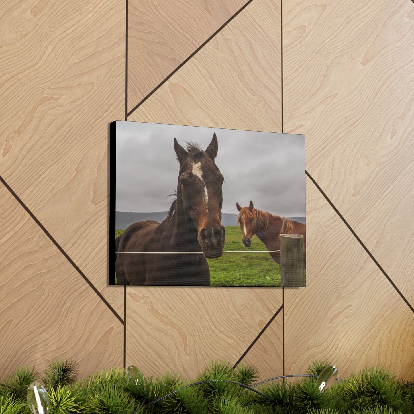 Canvas Gallery Wrap - Denali and Takota - Photo
