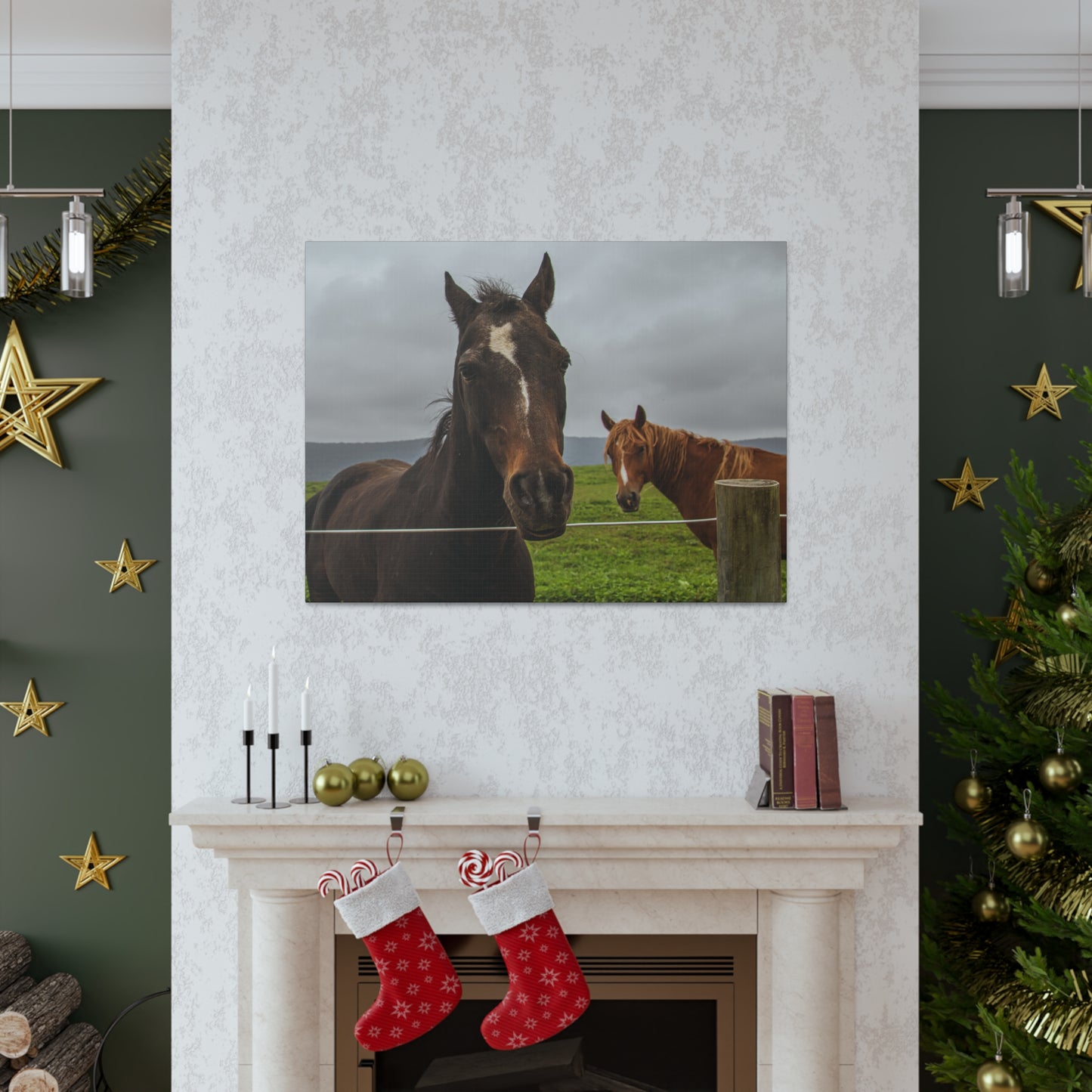 Canvas Gallery Wrap - Denali and Takota - Photo