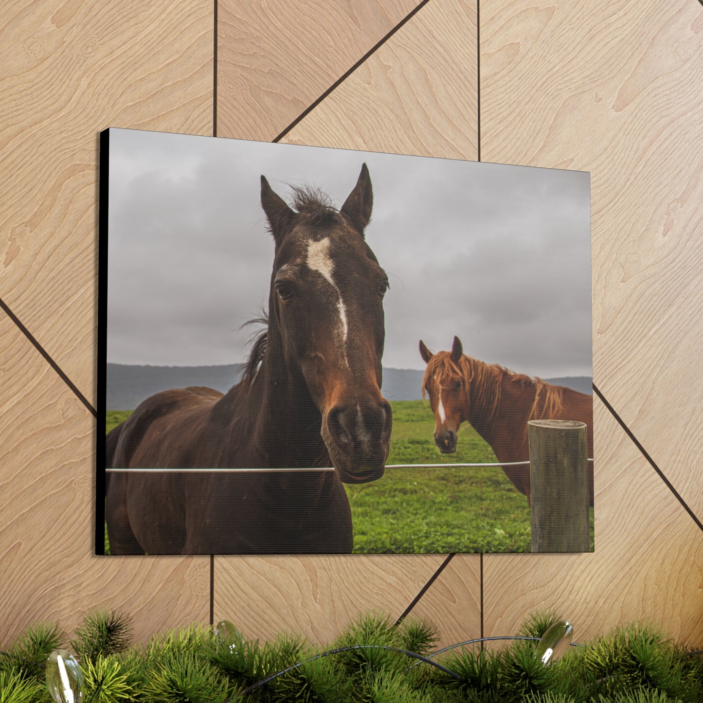 Canvas Gallery Wrap - Denali and Takota - Photo