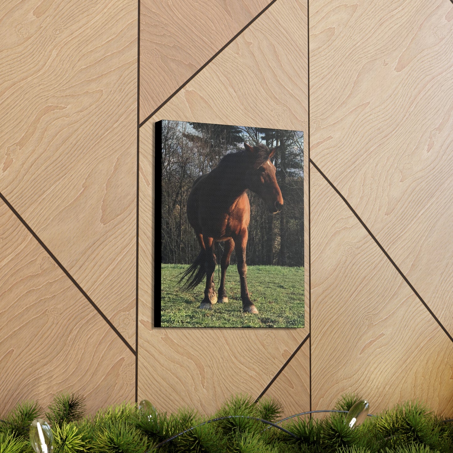 Canvas Gallery Wrap - Kiowa - Photo