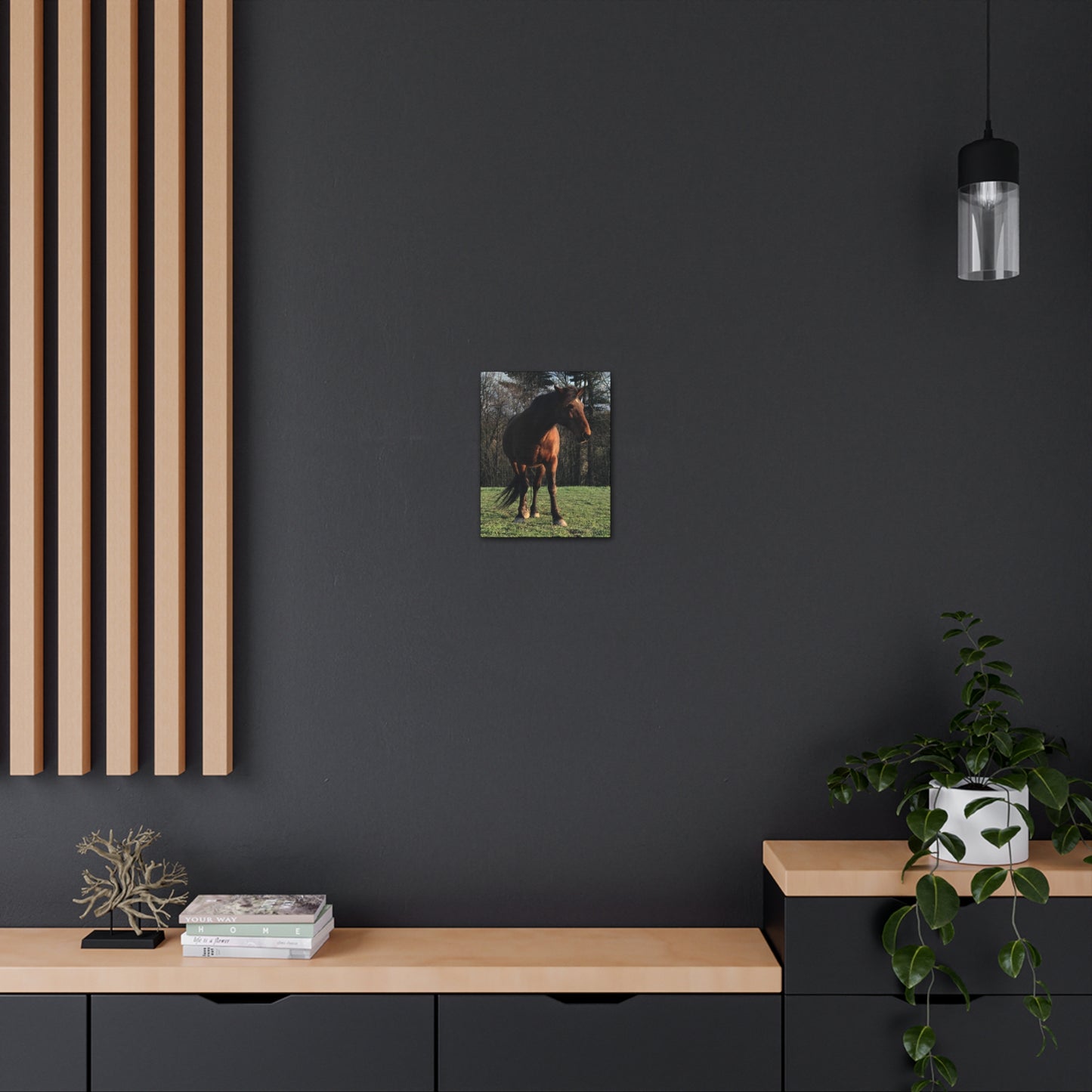 Canvas Gallery Wrap - Kiowa - Photo