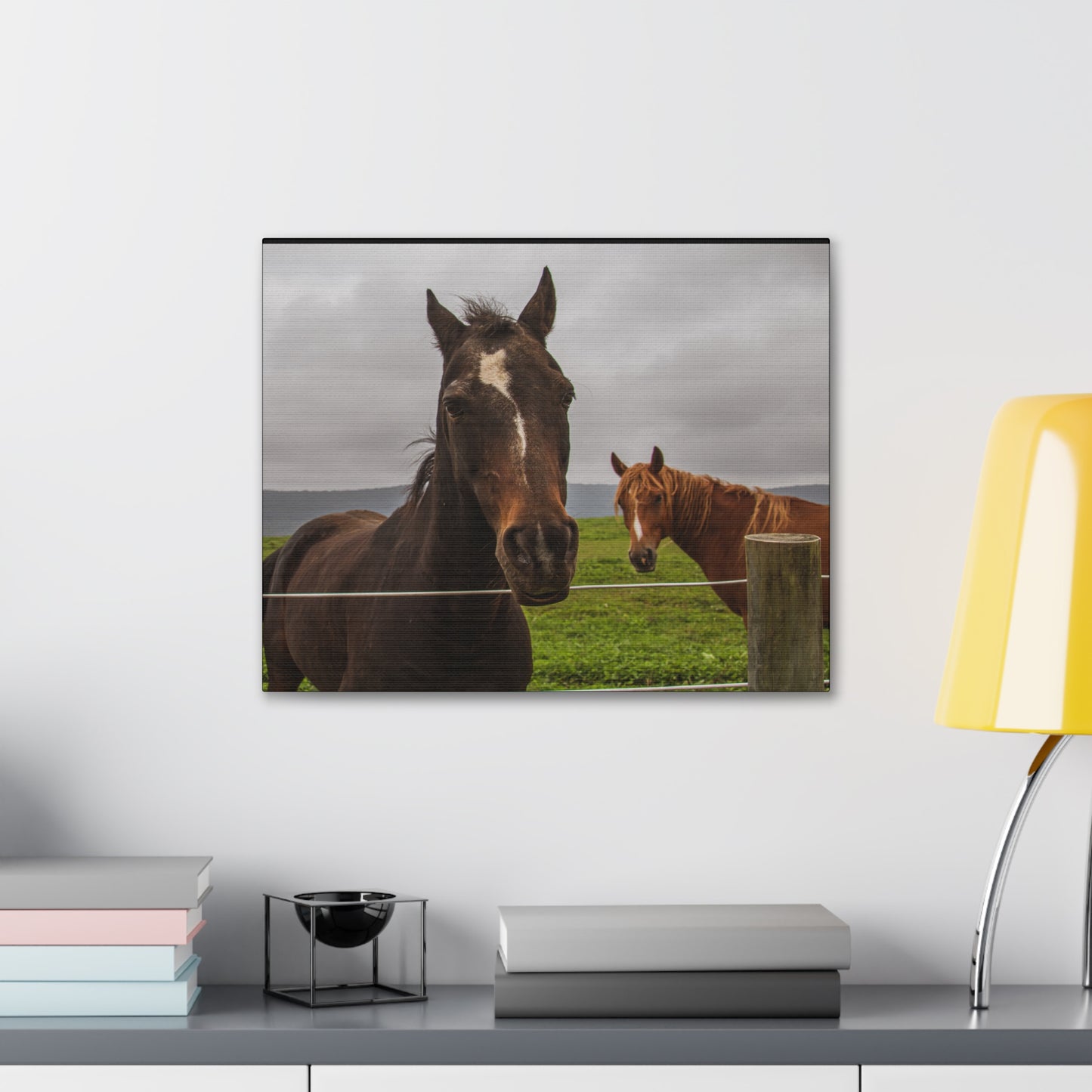 Canvas Gallery Wrap - Denali and Takota - Photo