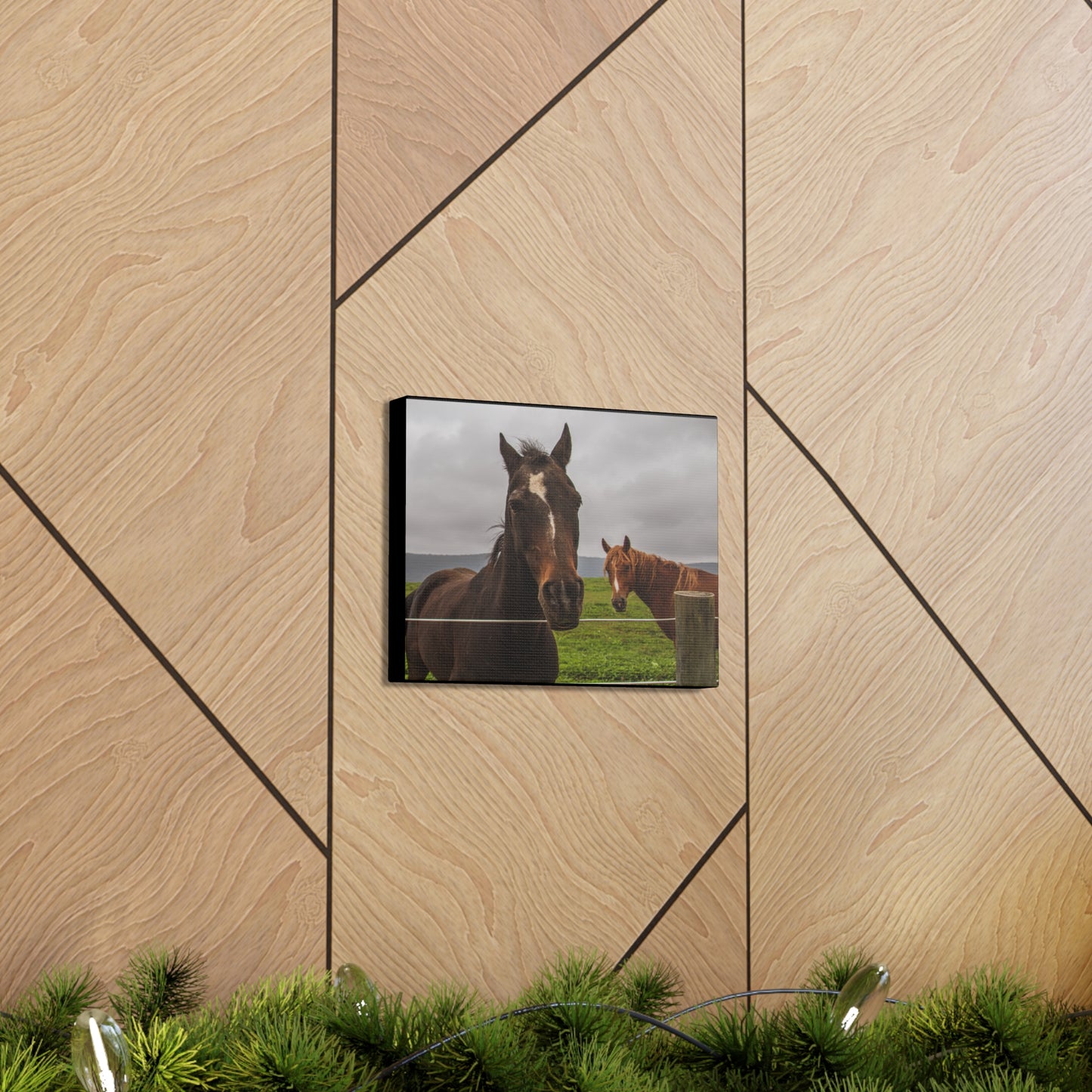 Canvas Gallery Wrap - Denali and Takota - Photo