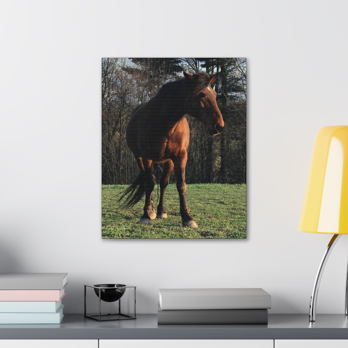 Canvas Gallery Wrap - Kiowa - Photo