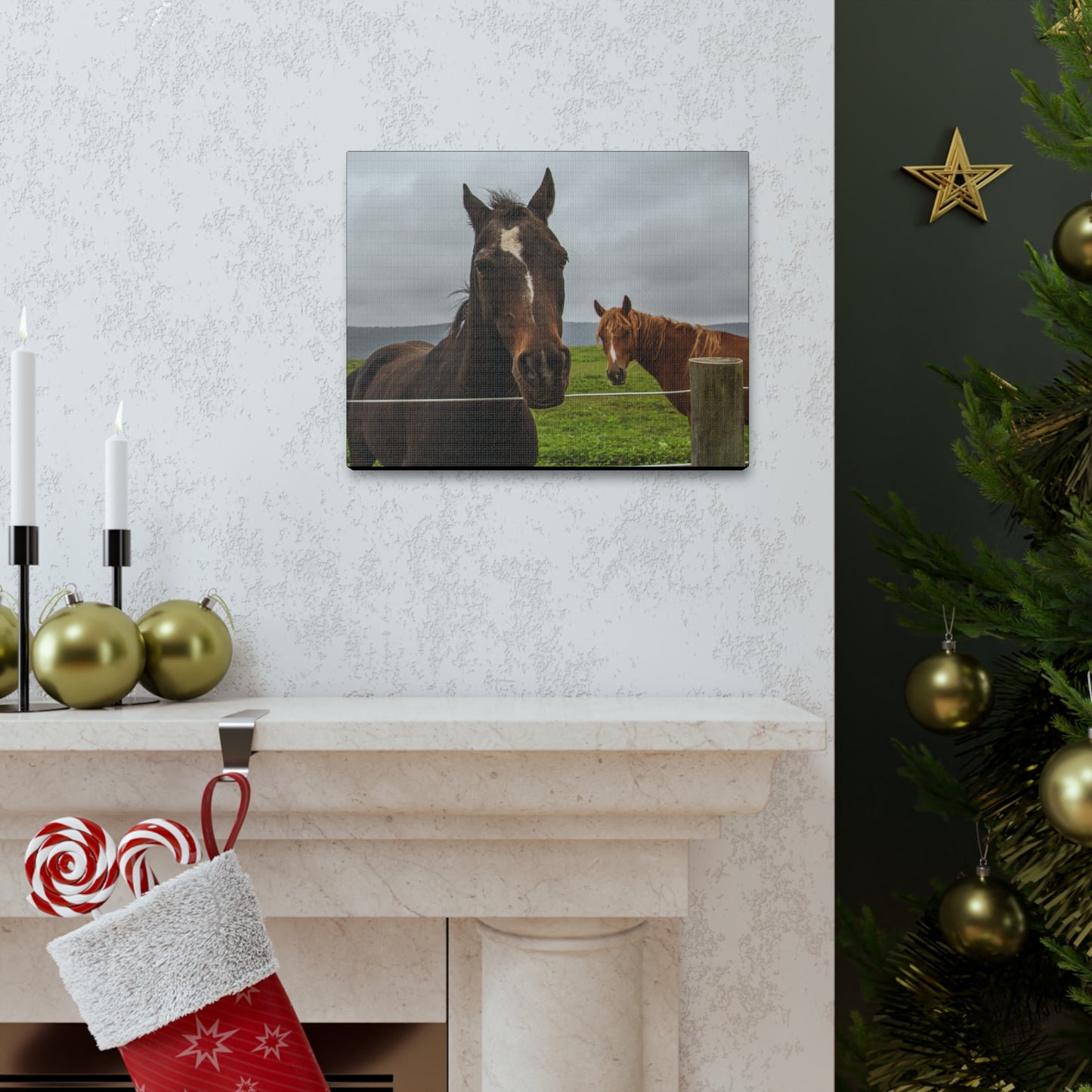 Canvas Gallery Wrap - Denali and Takota - Photo