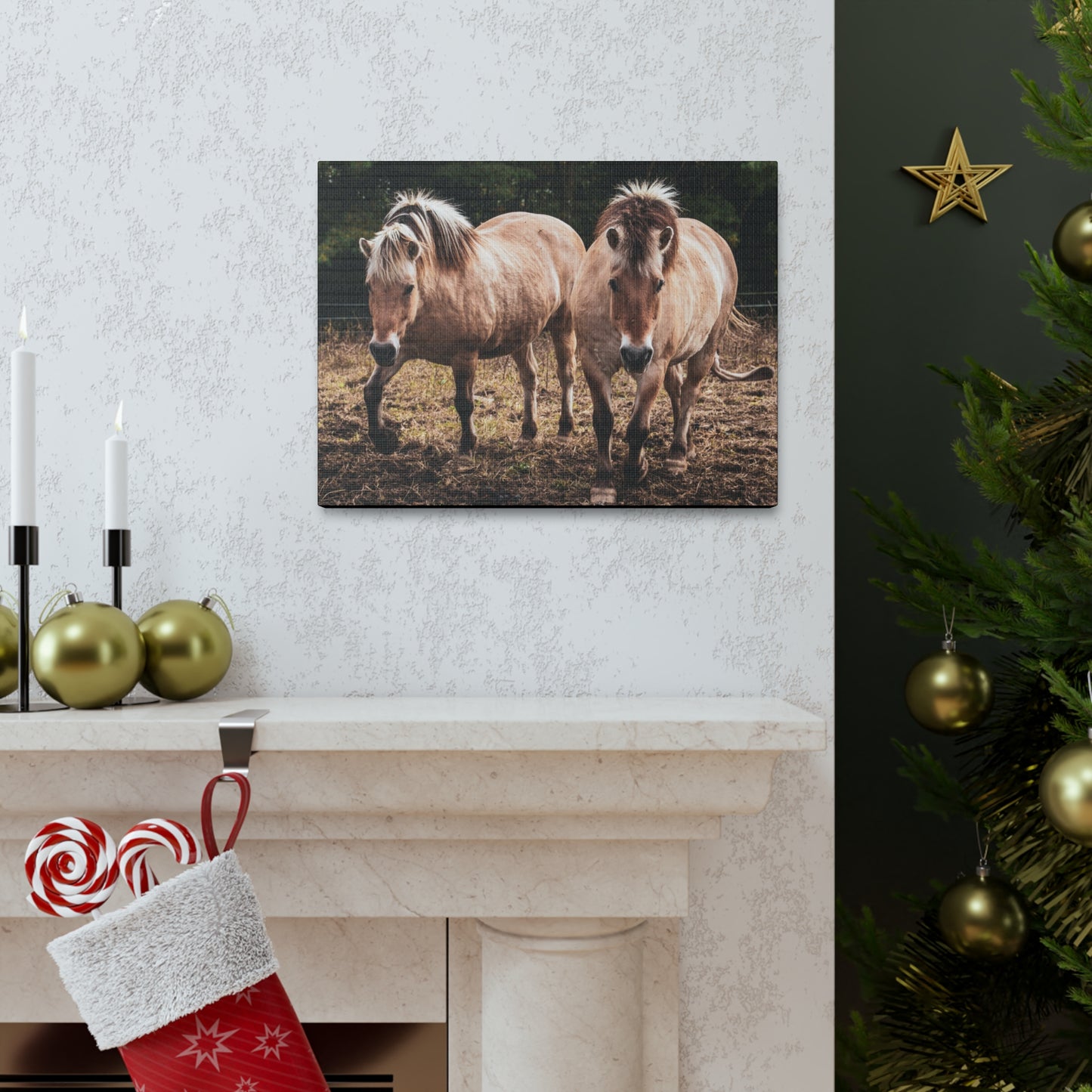 Canvas Gallery Wrap - Cody and Cheyenne - Photo