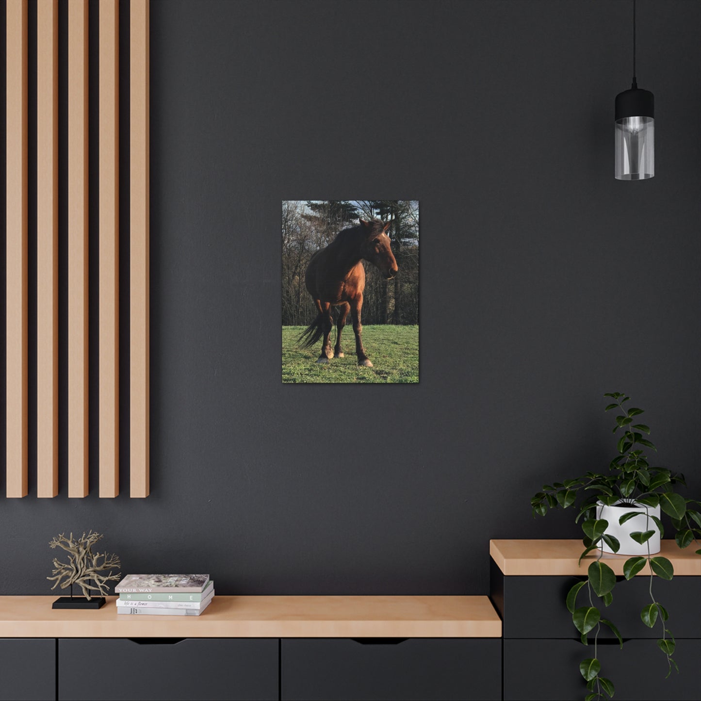Canvas Gallery Wrap - Kiowa - Photo
