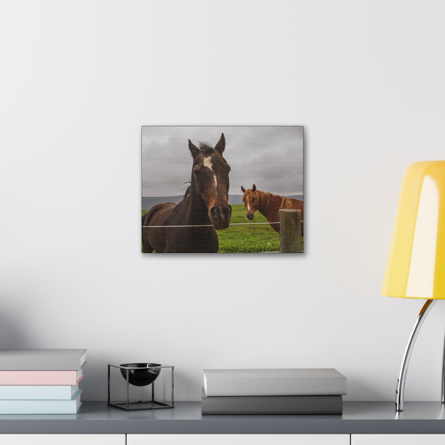 Canvas Gallery Wrap - Denali and Takota - Photo