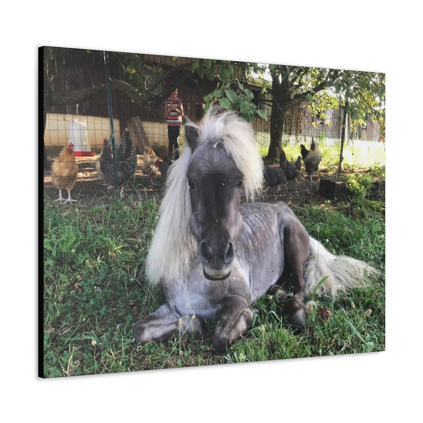Canvas Gallery Wrap - Buttons - Photo