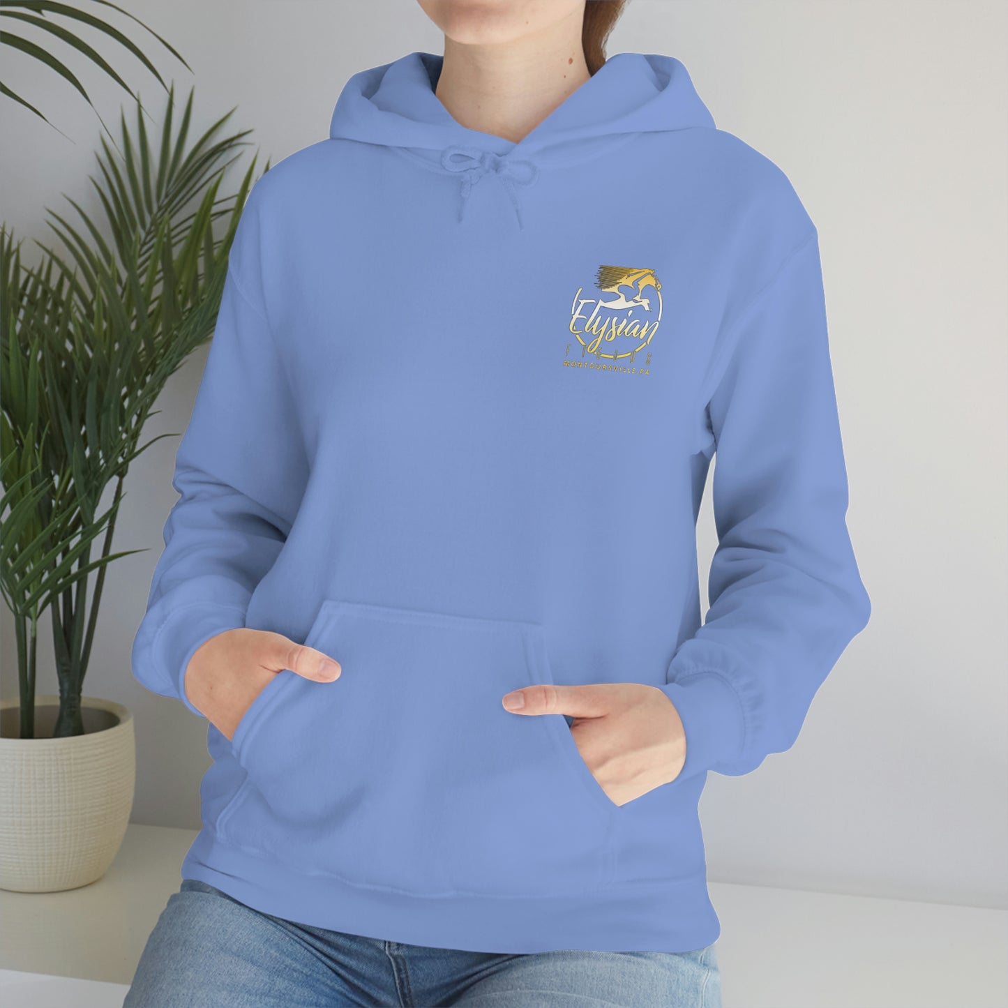 Elysian Fields - Adult Unisex Heavy Blend™ Hooded Sweatshirt - Color Logo