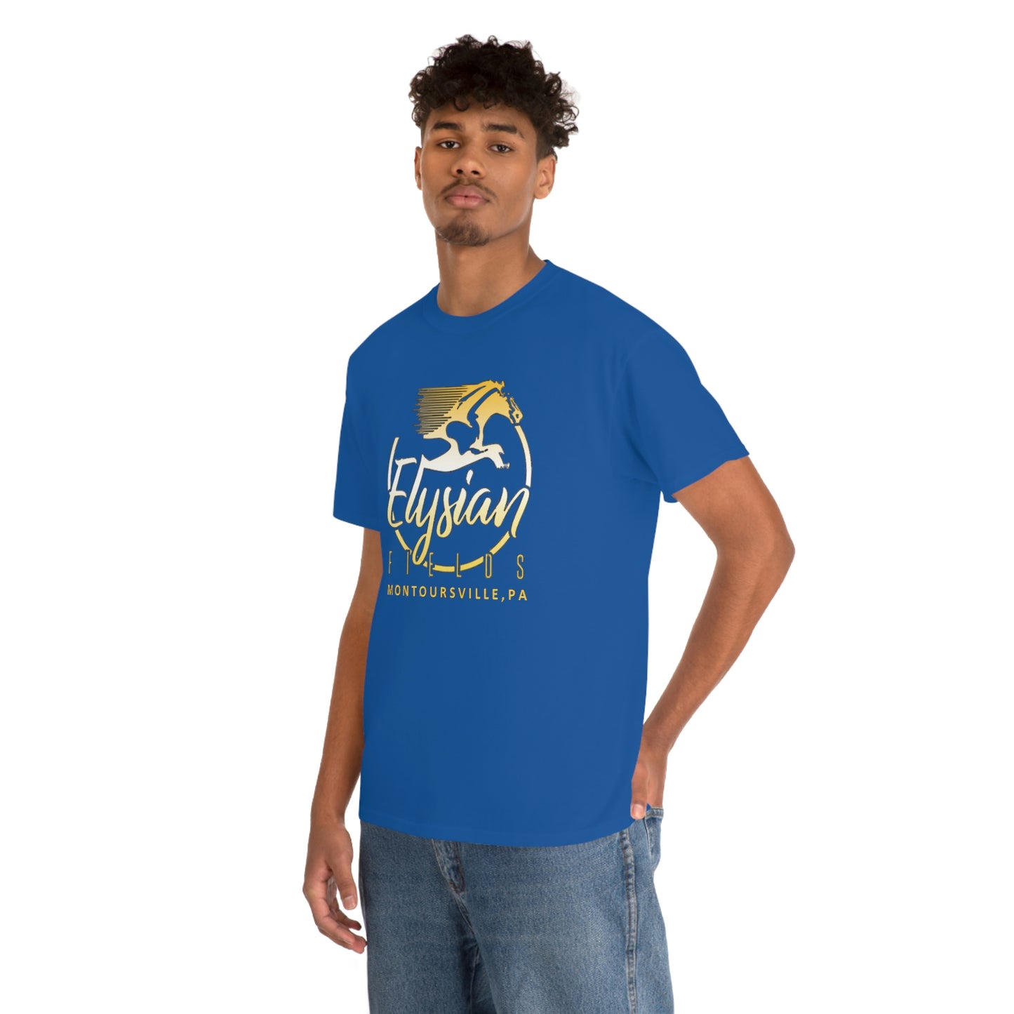 Elysian Fields - Adult Unisex Heavy Cotton Tee