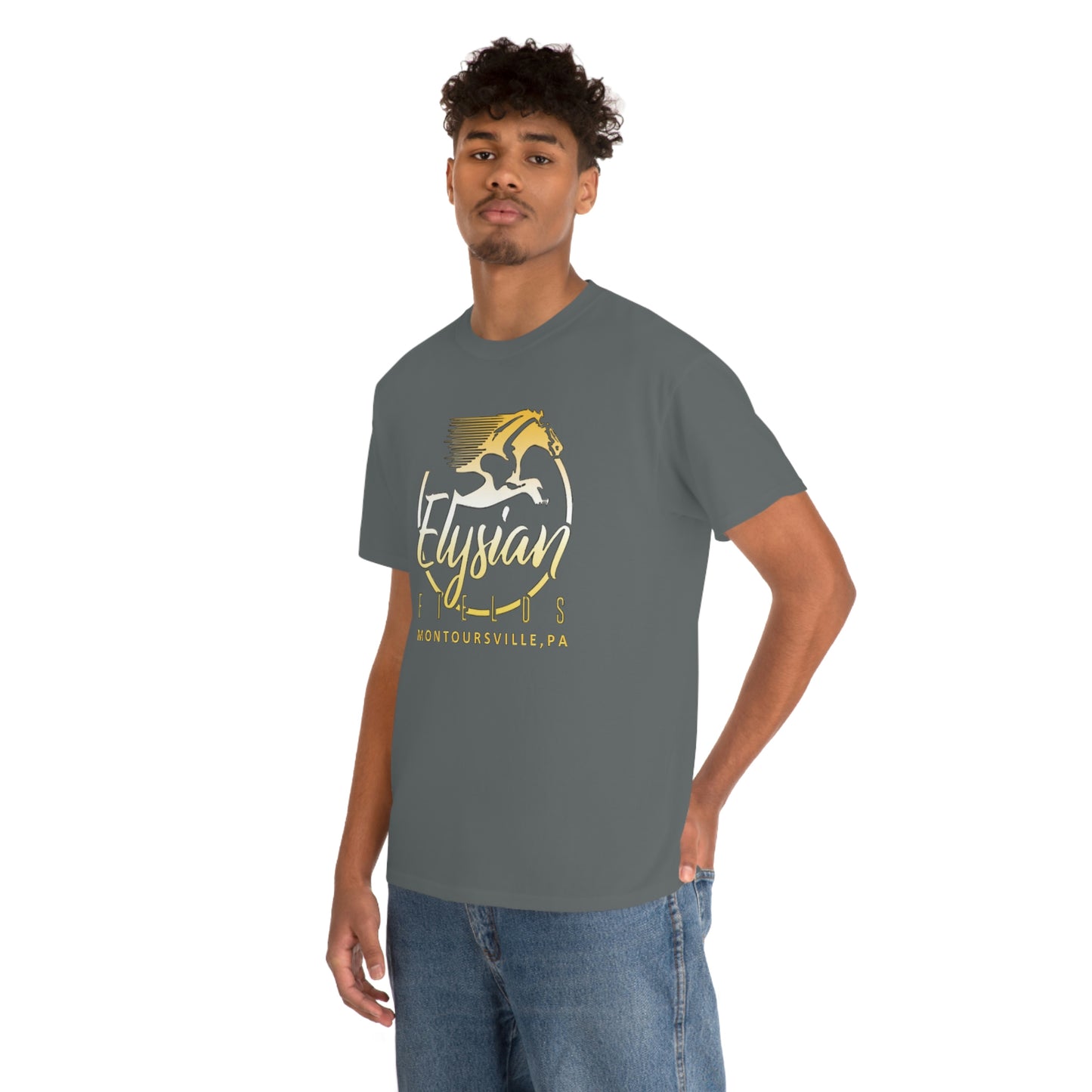 Elysian Fields - Adult Unisex Heavy Cotton Tee