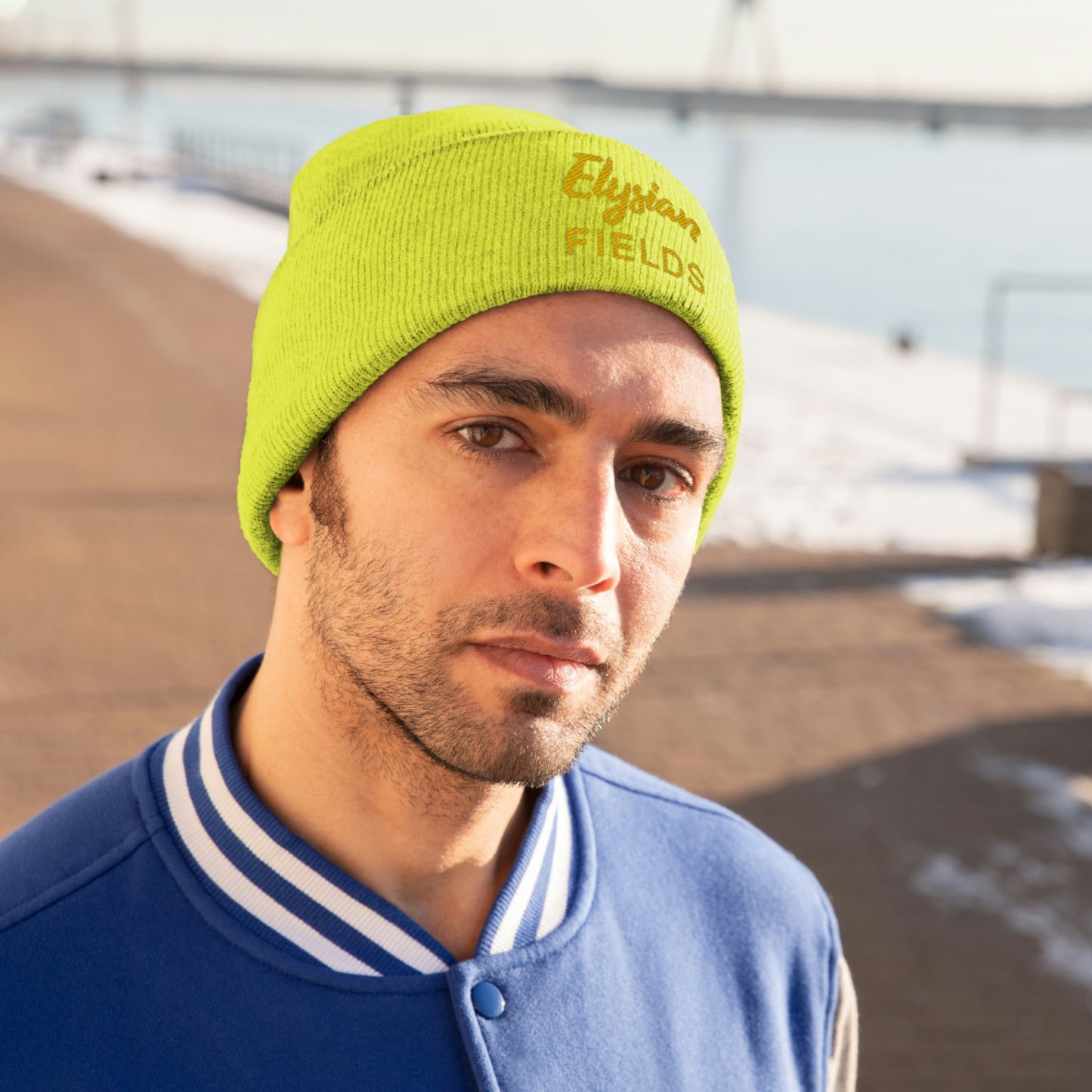 Elysian Fields - Knit Beanie