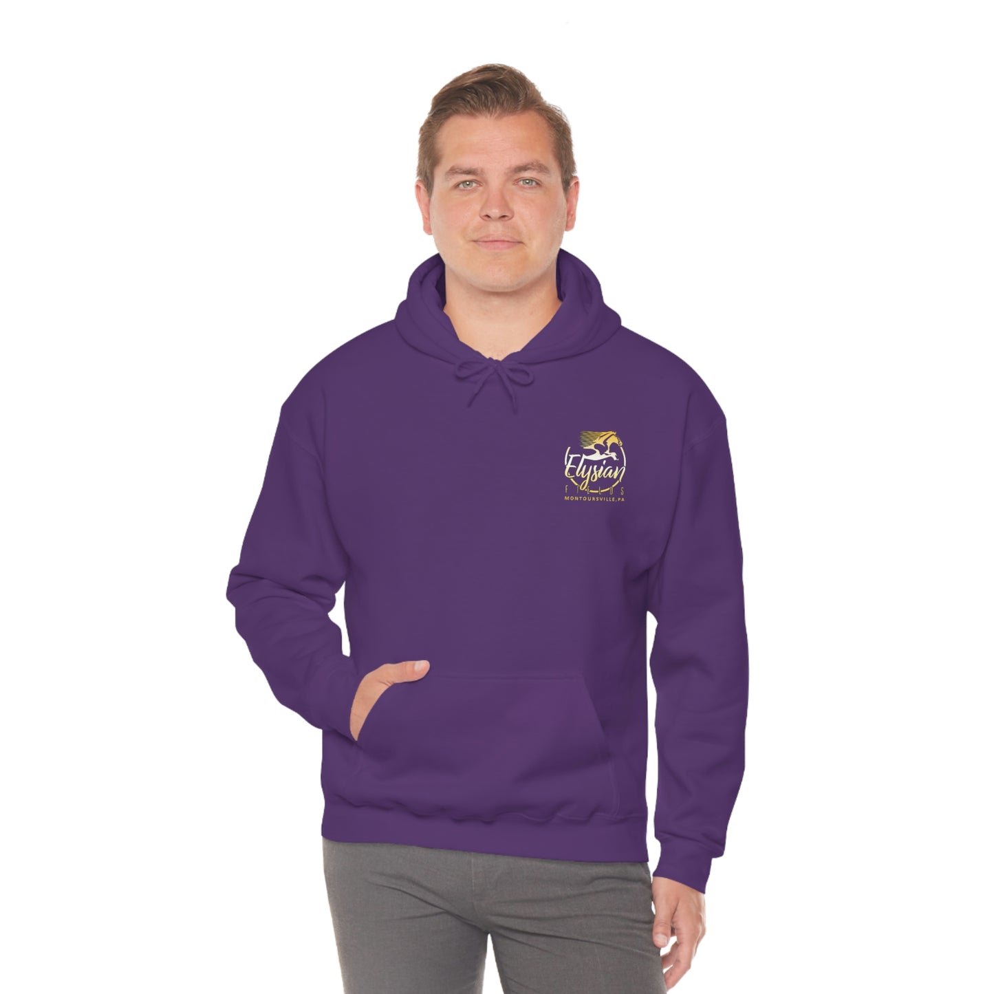 Elysian Fields - Adult Unisex Heavy Blend™ Hooded Sweatshirt - Color Logo