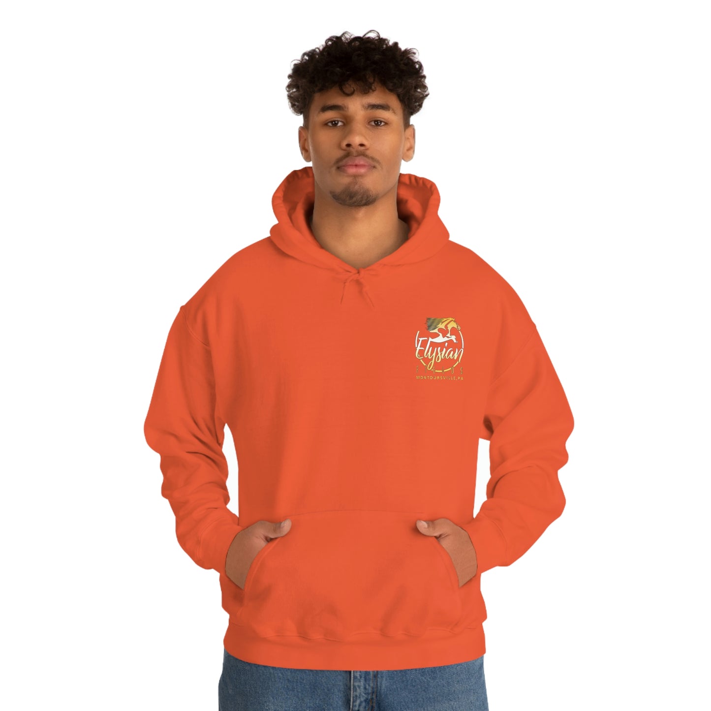 Elysian Fields - Adult Unisex Heavy Blend™ Hooded Sweatshirt - Color Logo