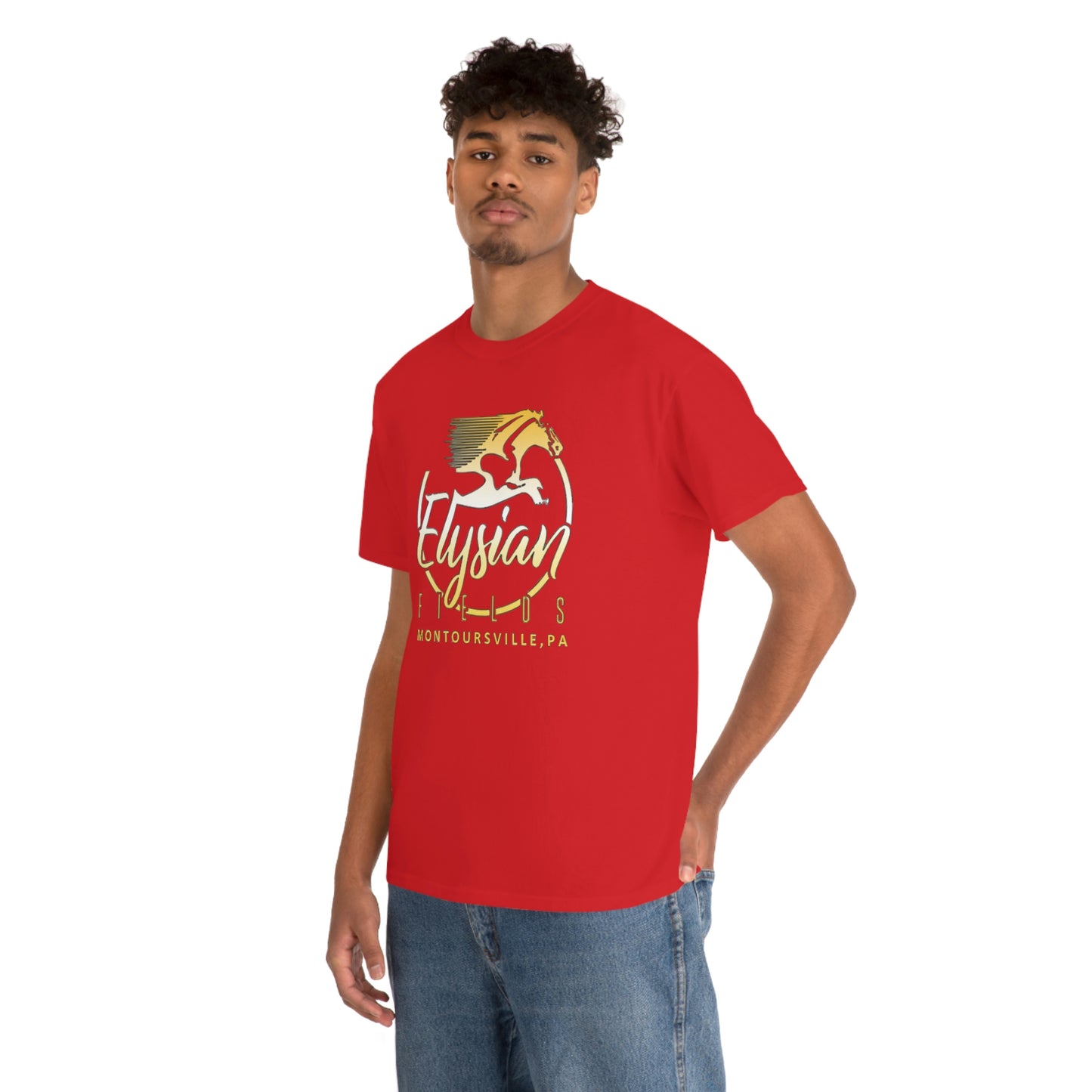 Elysian Fields - Adult Unisex Heavy Cotton Tee