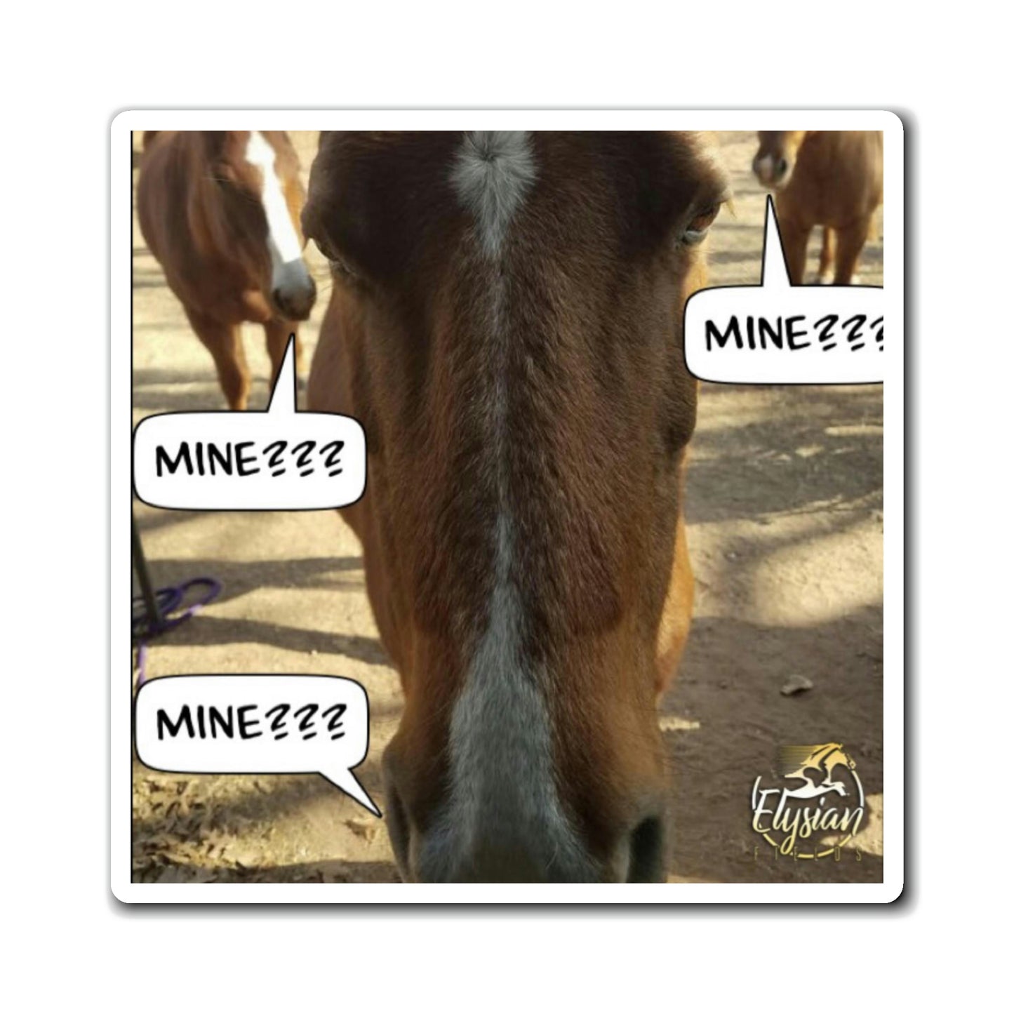 Magnet - Mine!