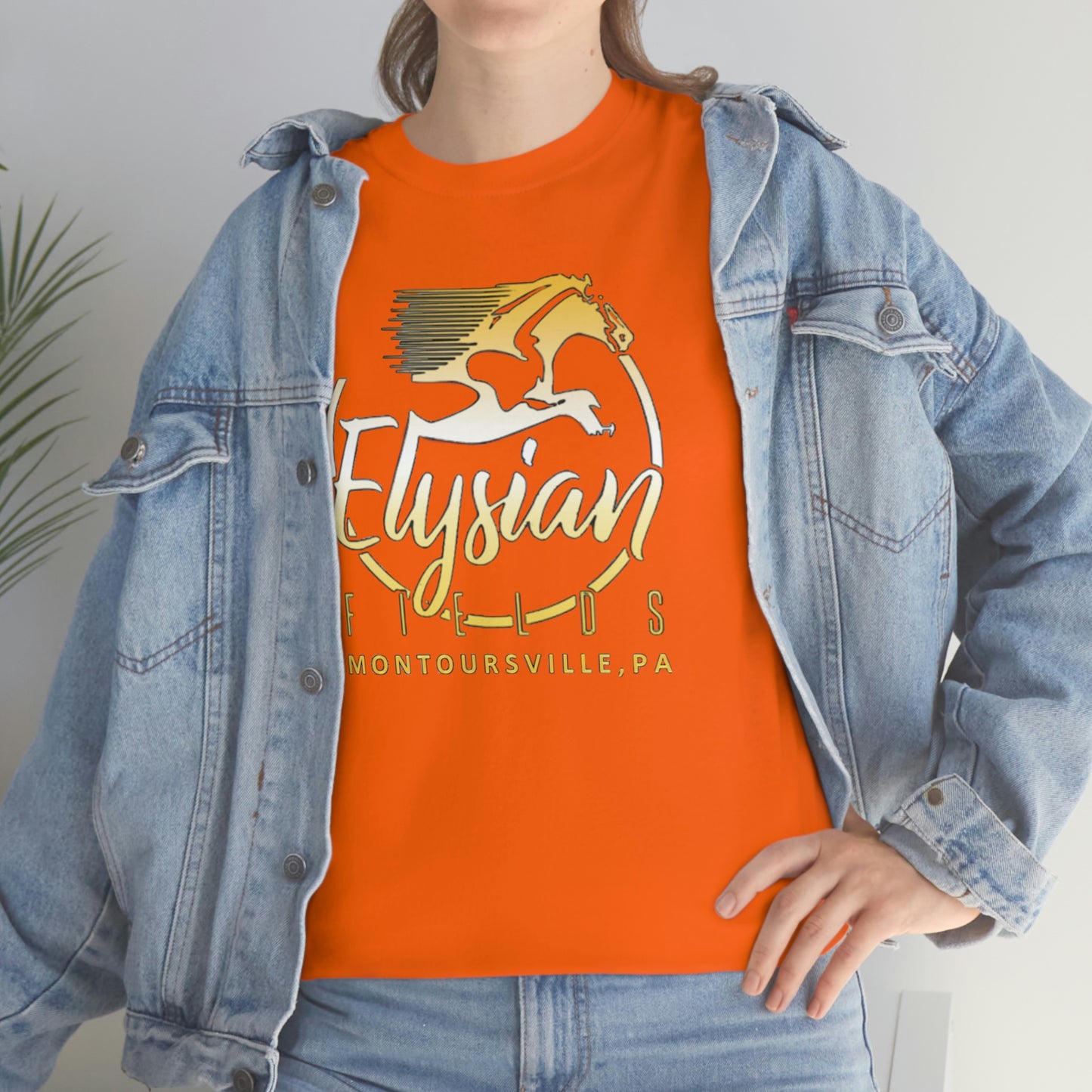 Elysian Fields - Adult Unisex Heavy Cotton Tee