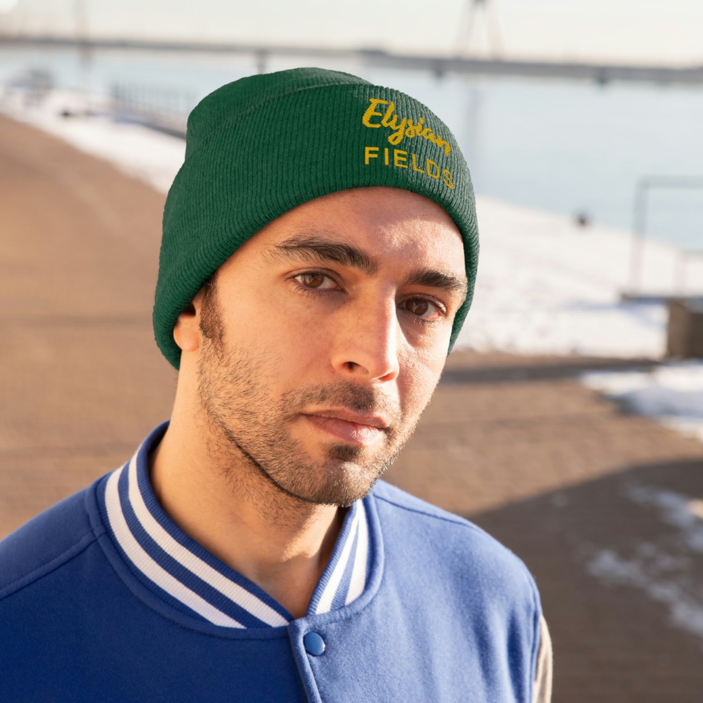 Elysian Fields - Knit Beanie