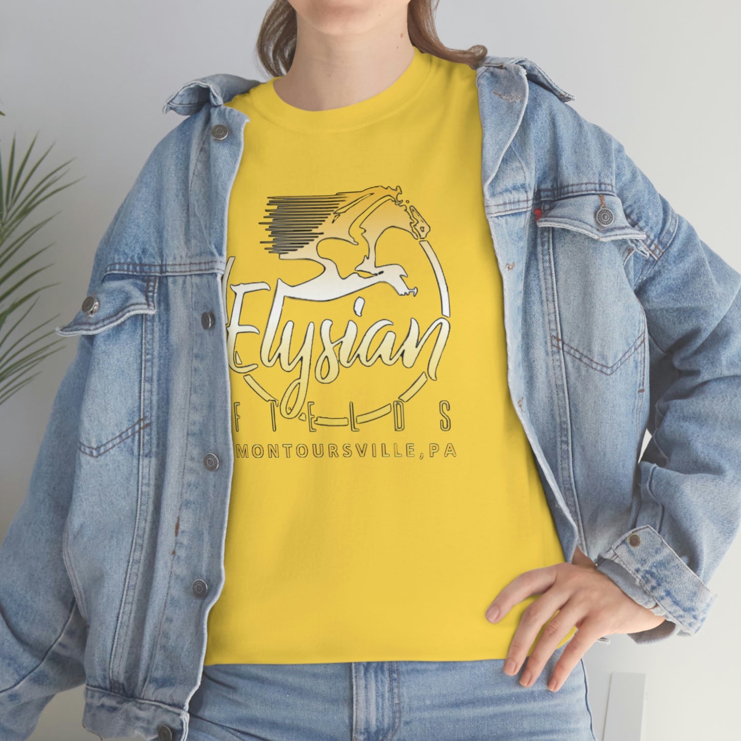Elysian Fields - Adult Unisex Heavy Cotton Tee