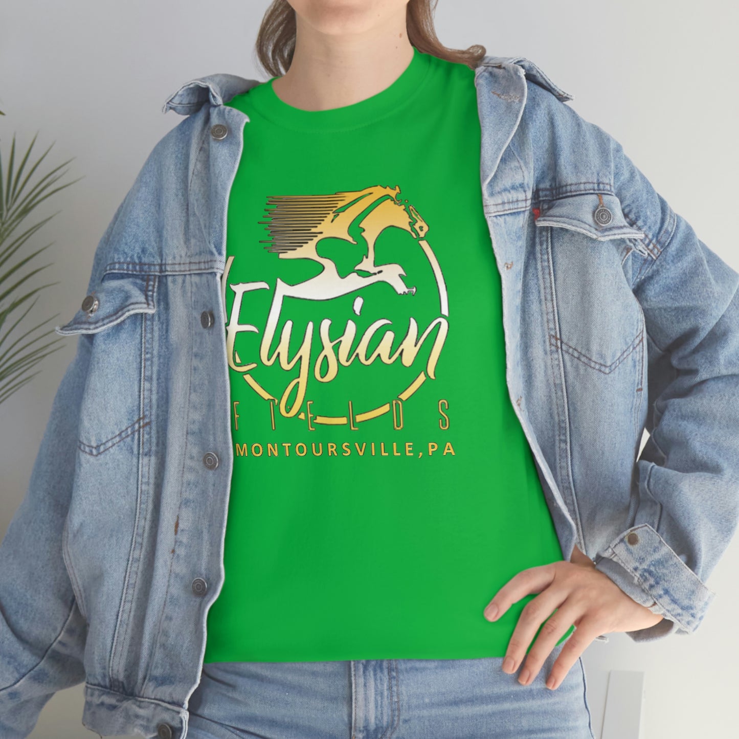 Elysian Fields - Adult Unisex Heavy Cotton Tee